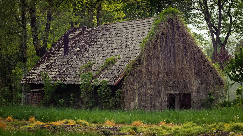 brown wooden house near green trees during daytime