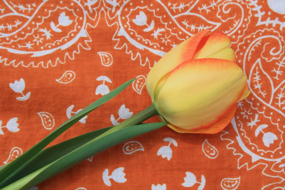 yellow flower on red and white floral textile