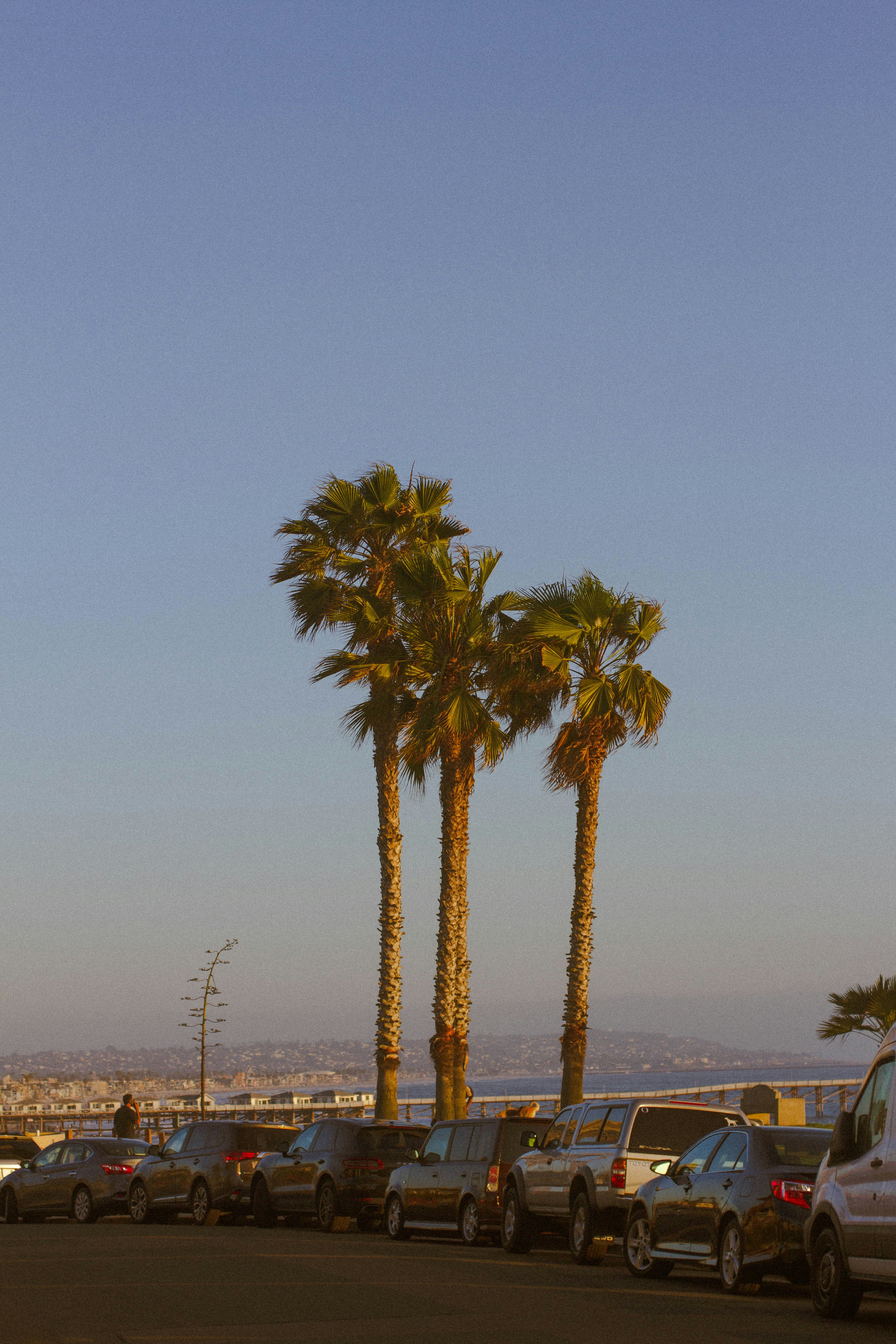 Photo by neshatorres