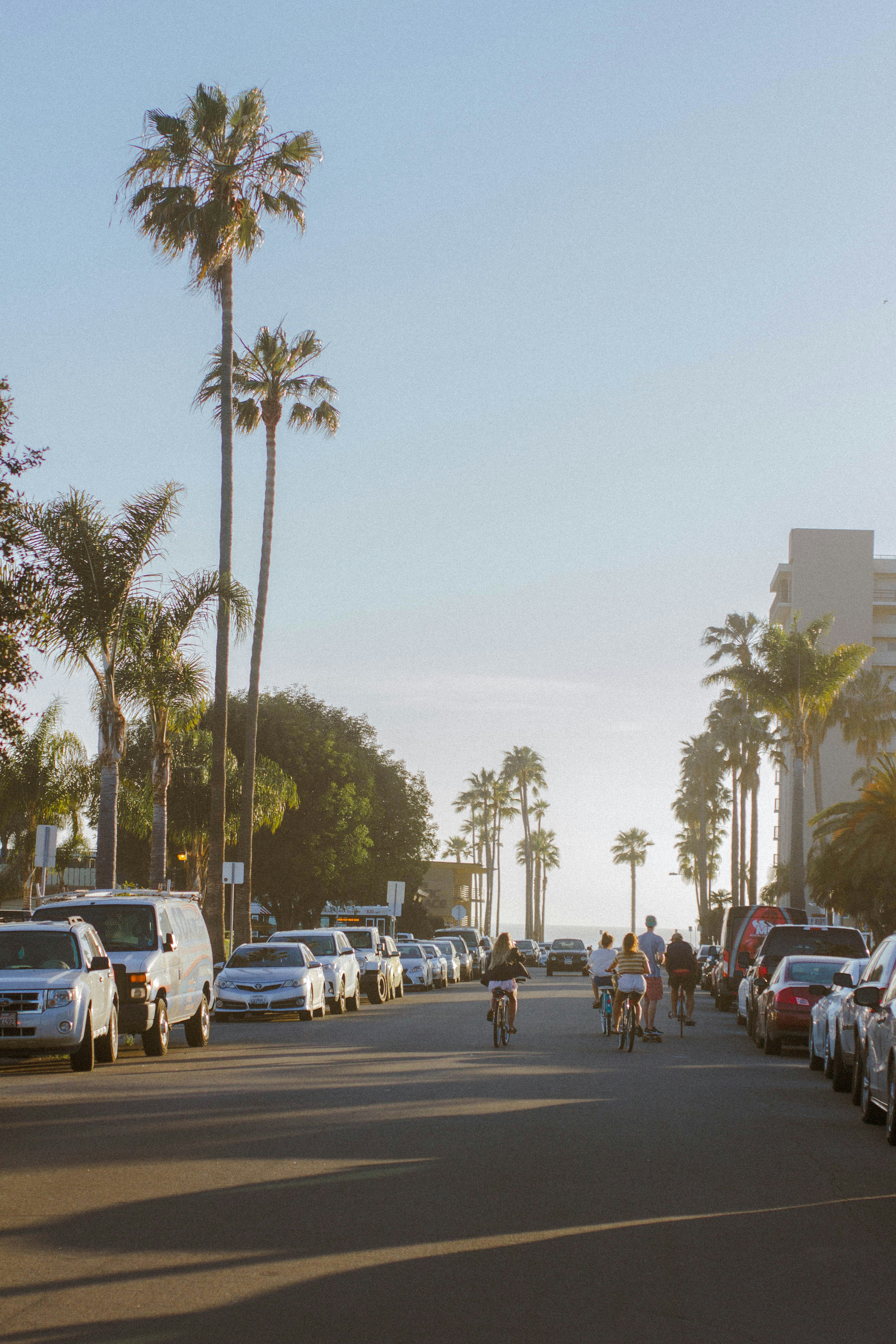 Photo by neshatorres