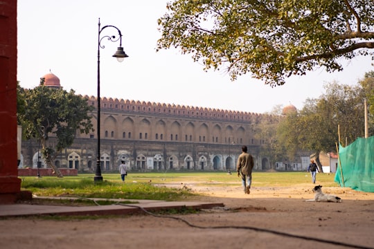 man in brown jacket walking on pathway near trees during daytime in Archaeological Museum India