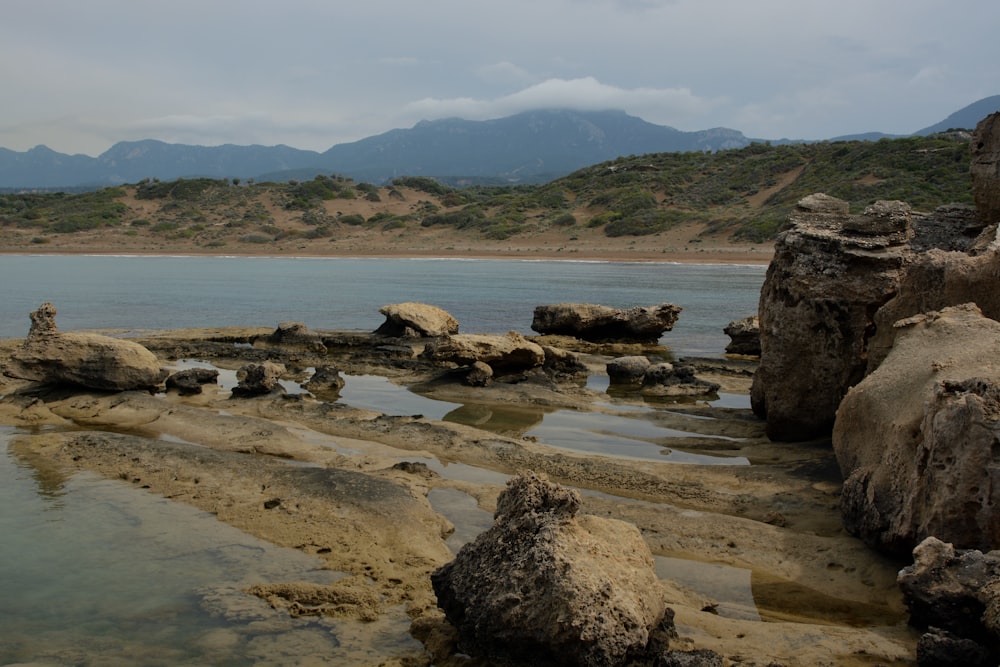 brown rocks on seashore during daytime