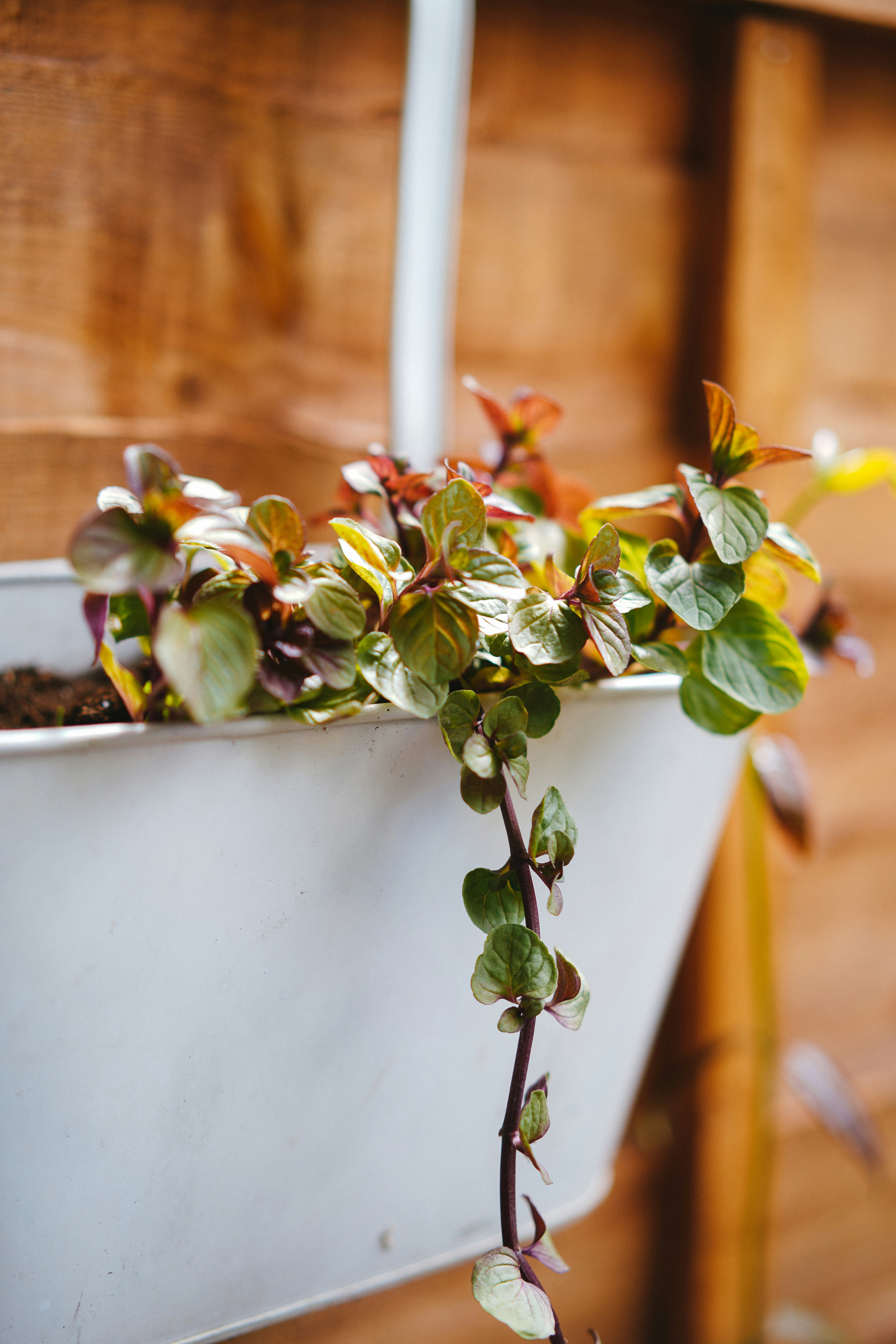 Photo by philhearing