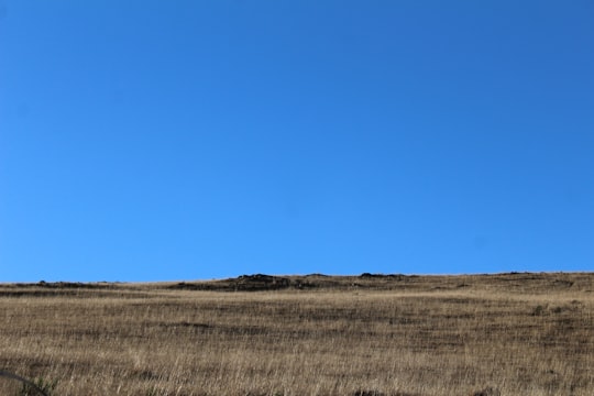 brown grass field under blue sky during daytime in São Joaquim Brasil