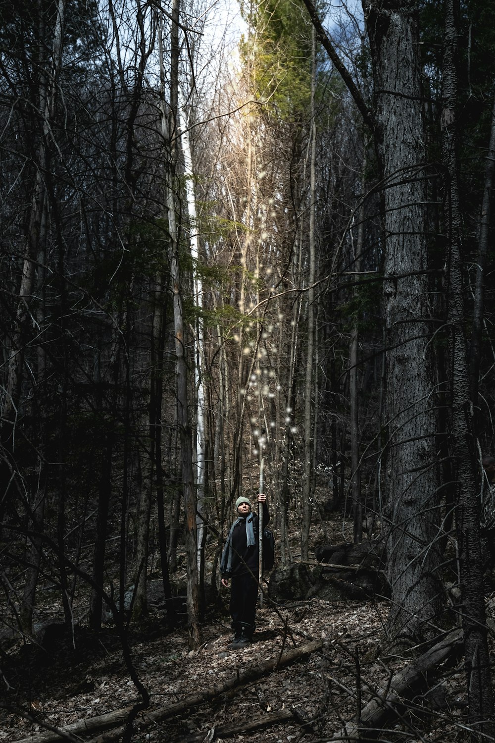 person in black jacket standing in the middle of the woods
