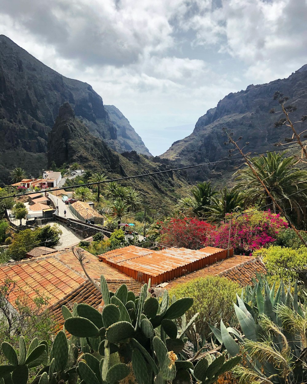 brown roof house near green trees and mountain during daytime