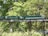 A model train with green carriages is displayed on a wooden trestle bridge surrounded by lush green trees. The train, marked with the word 'Southern,' appears detailed against the natural backdrop. Sunlight filters through the trees, illuminating the scene.