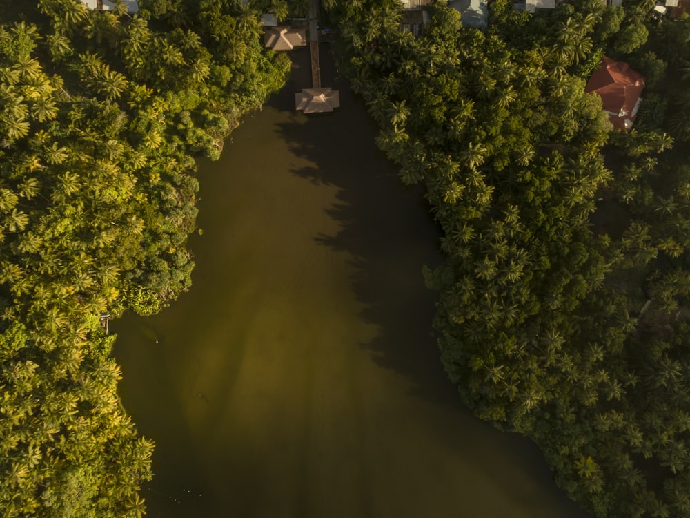 green trees near body of water during night time