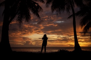 silhouette of man standing near palm tree during sunset