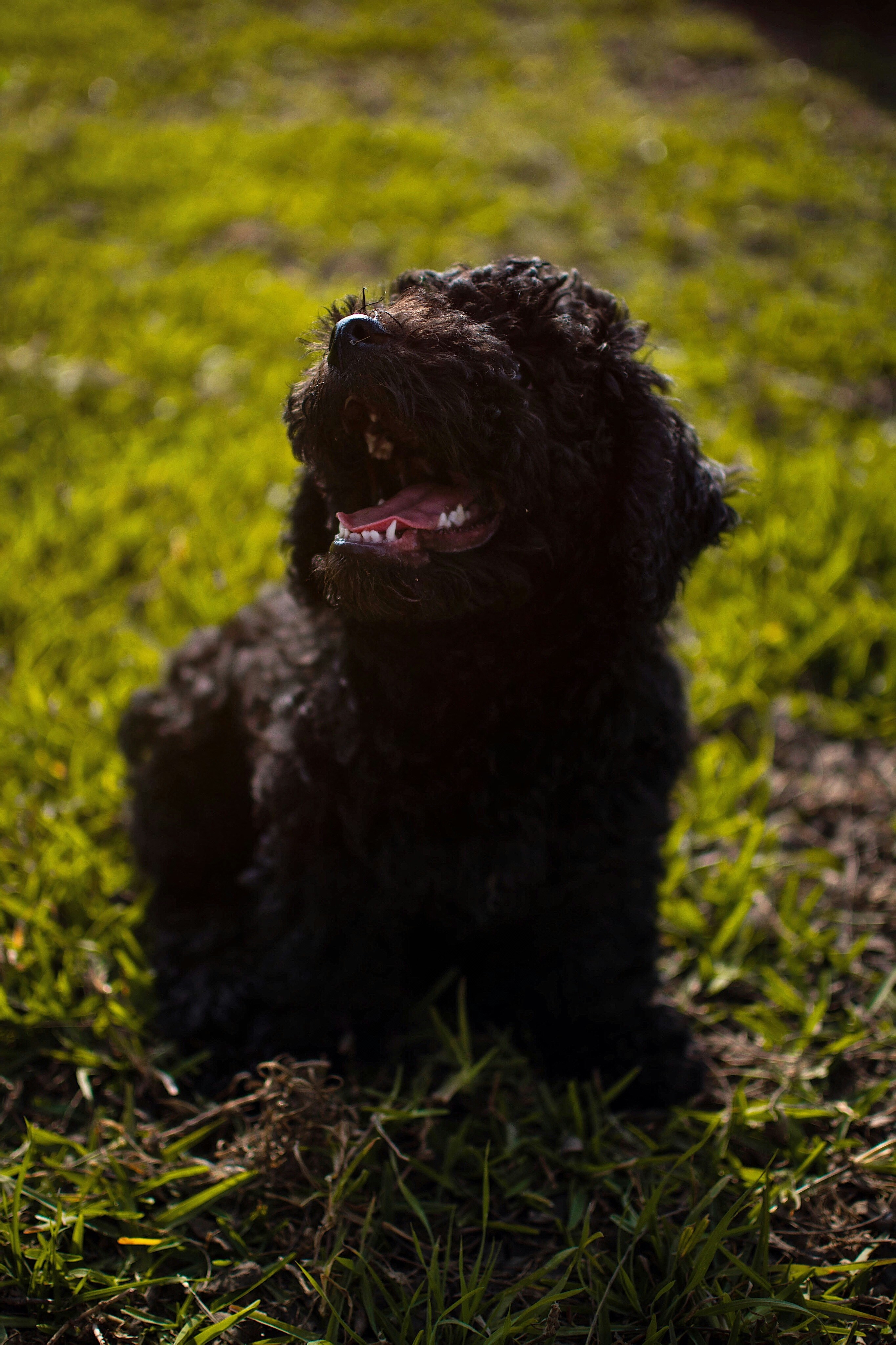 Photo by angeloflores