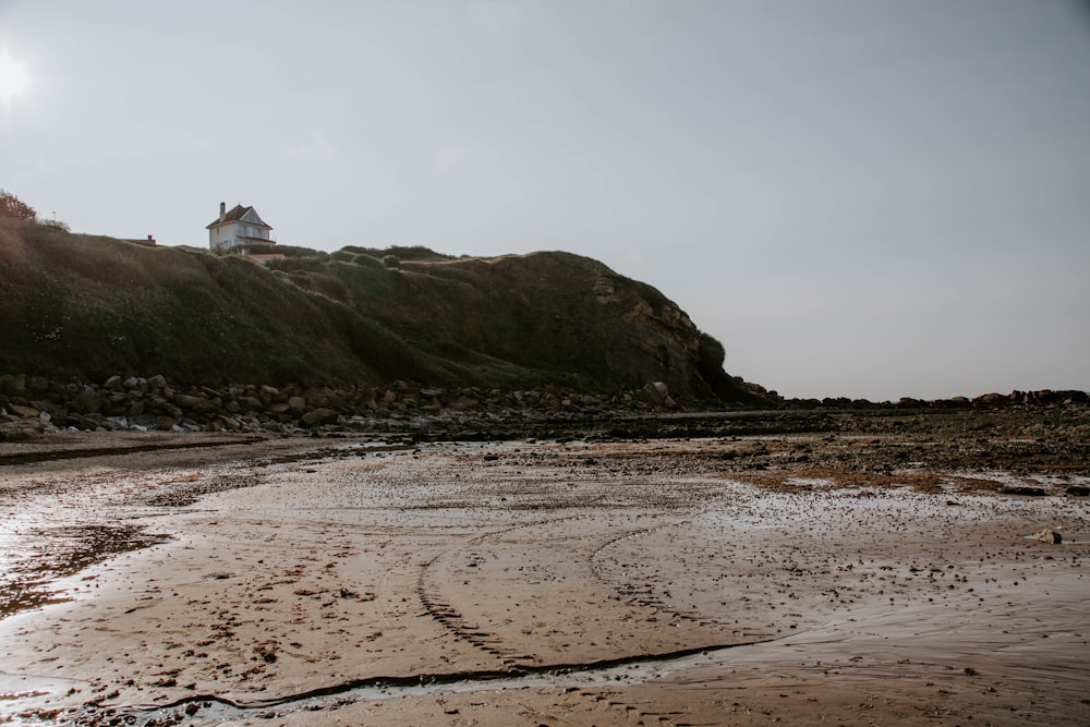 people walking on beach shore during daytime