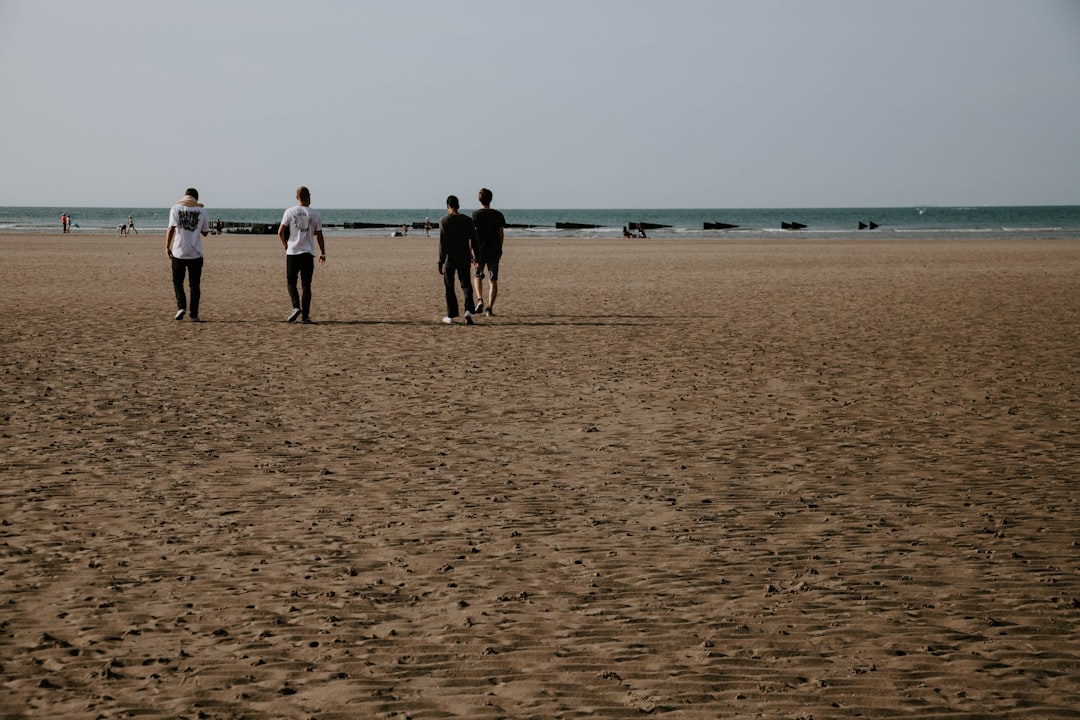 people on beach during daytime