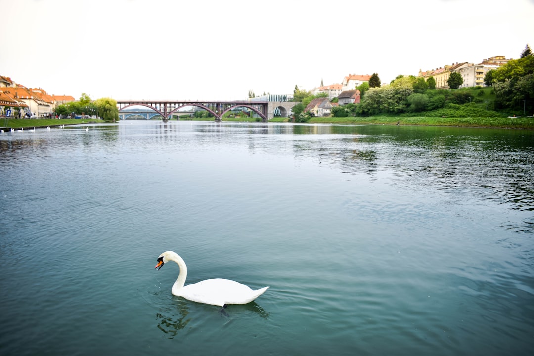 Natural landscape photo spot Maribor Jezera
