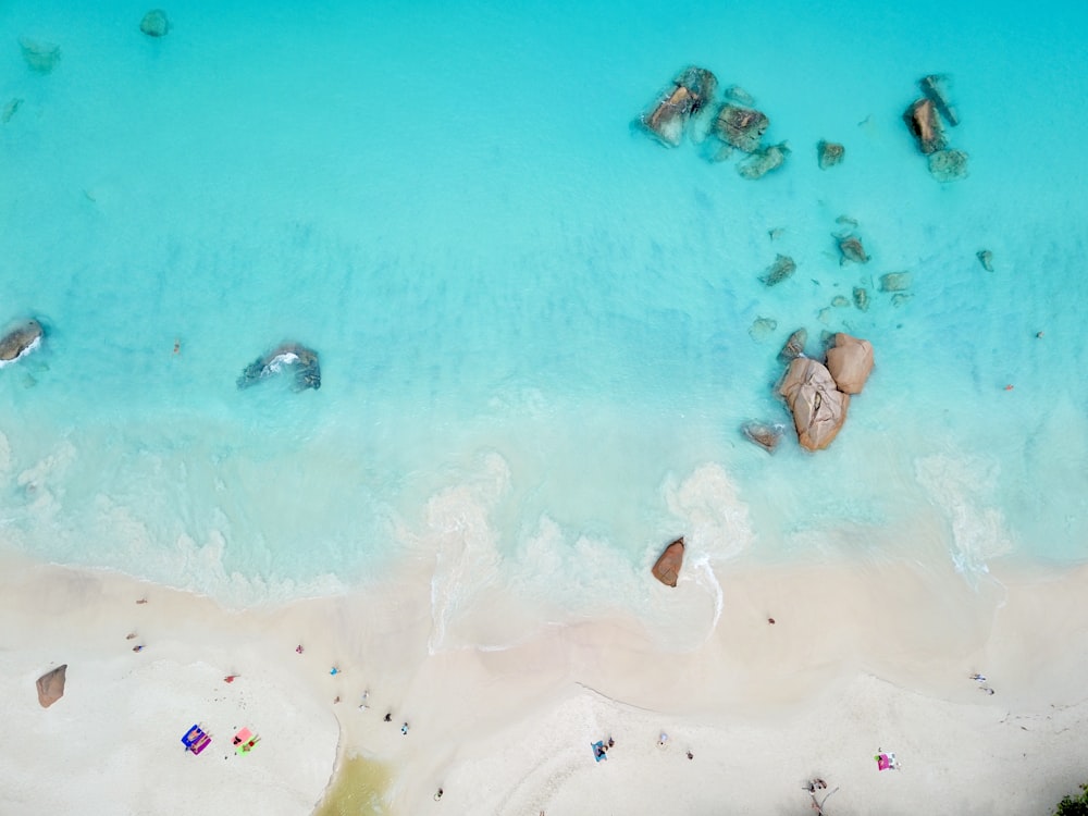 people swimming on beach during daytime