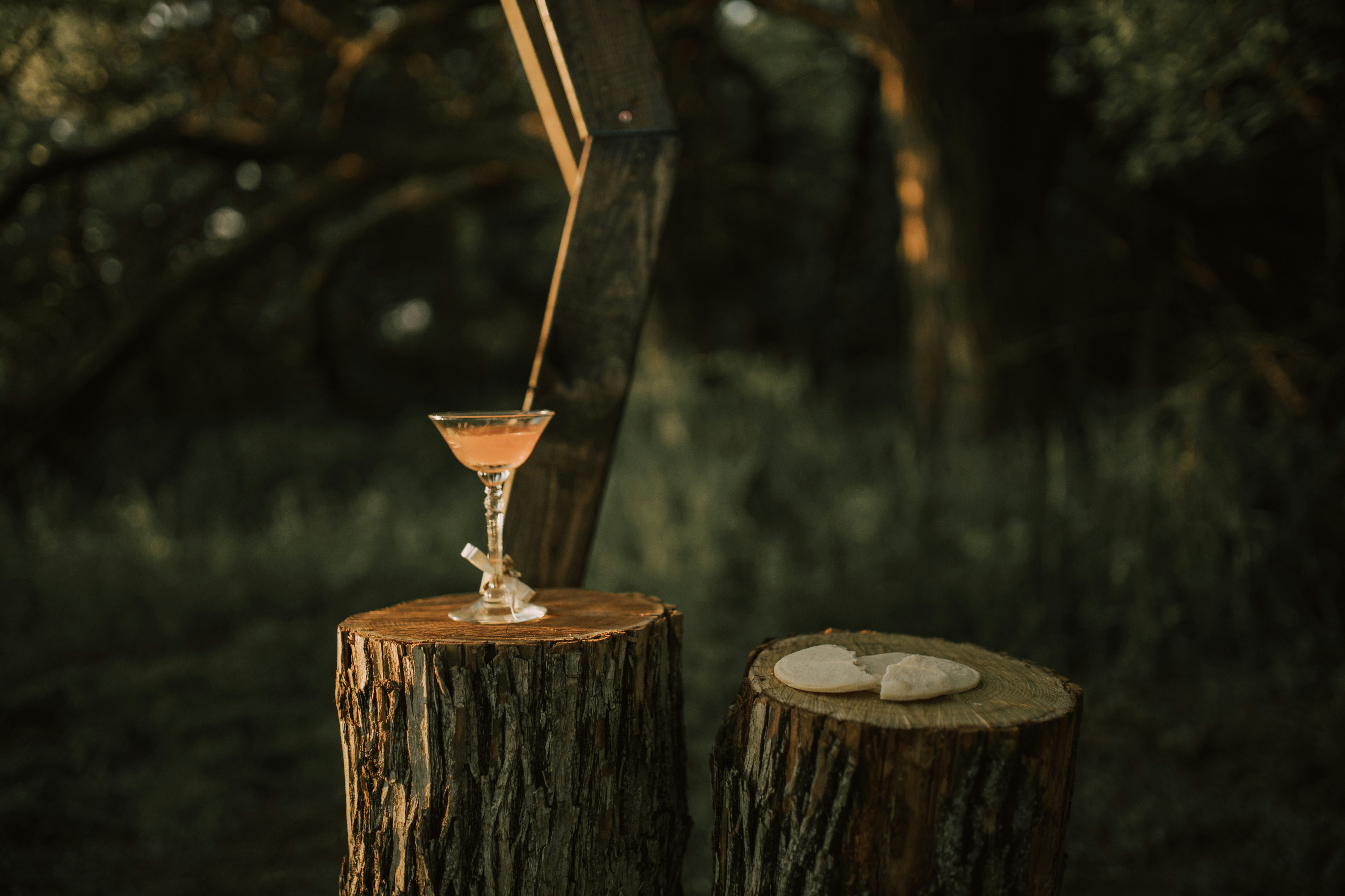 Klarglasbecher auf braunem Holzstamm