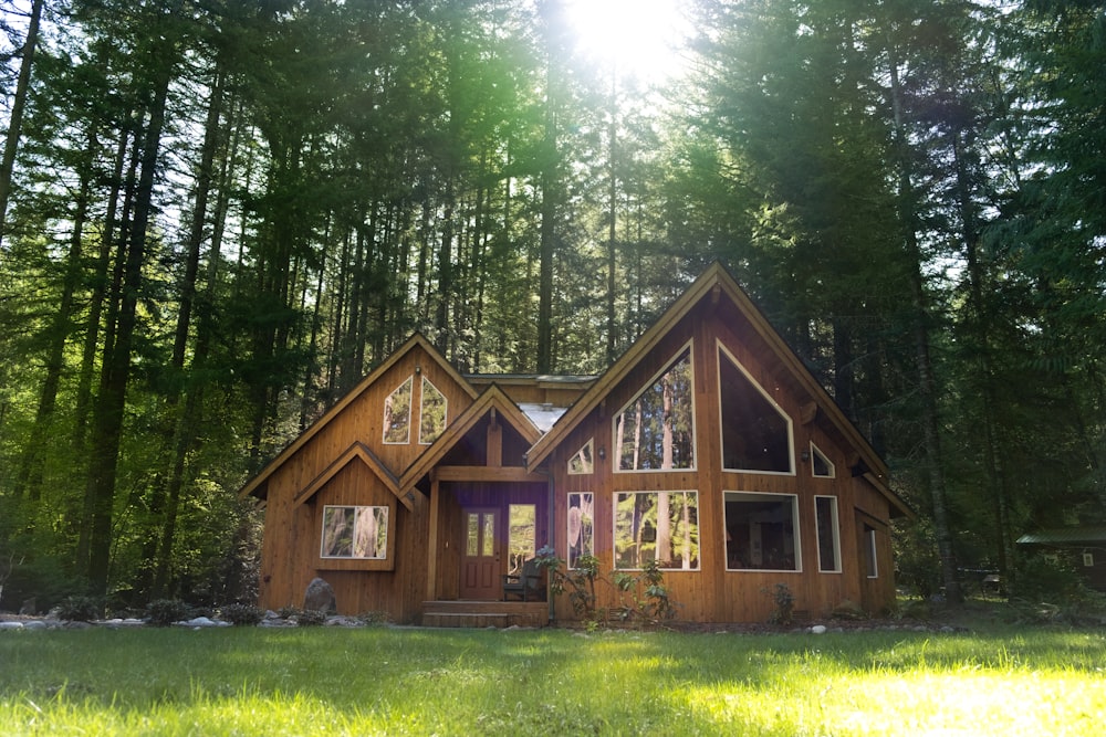 brown wooden house in the middle of forest during daytime