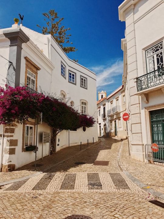 white concrete building with pink flowers on the side in Tavira Portugal