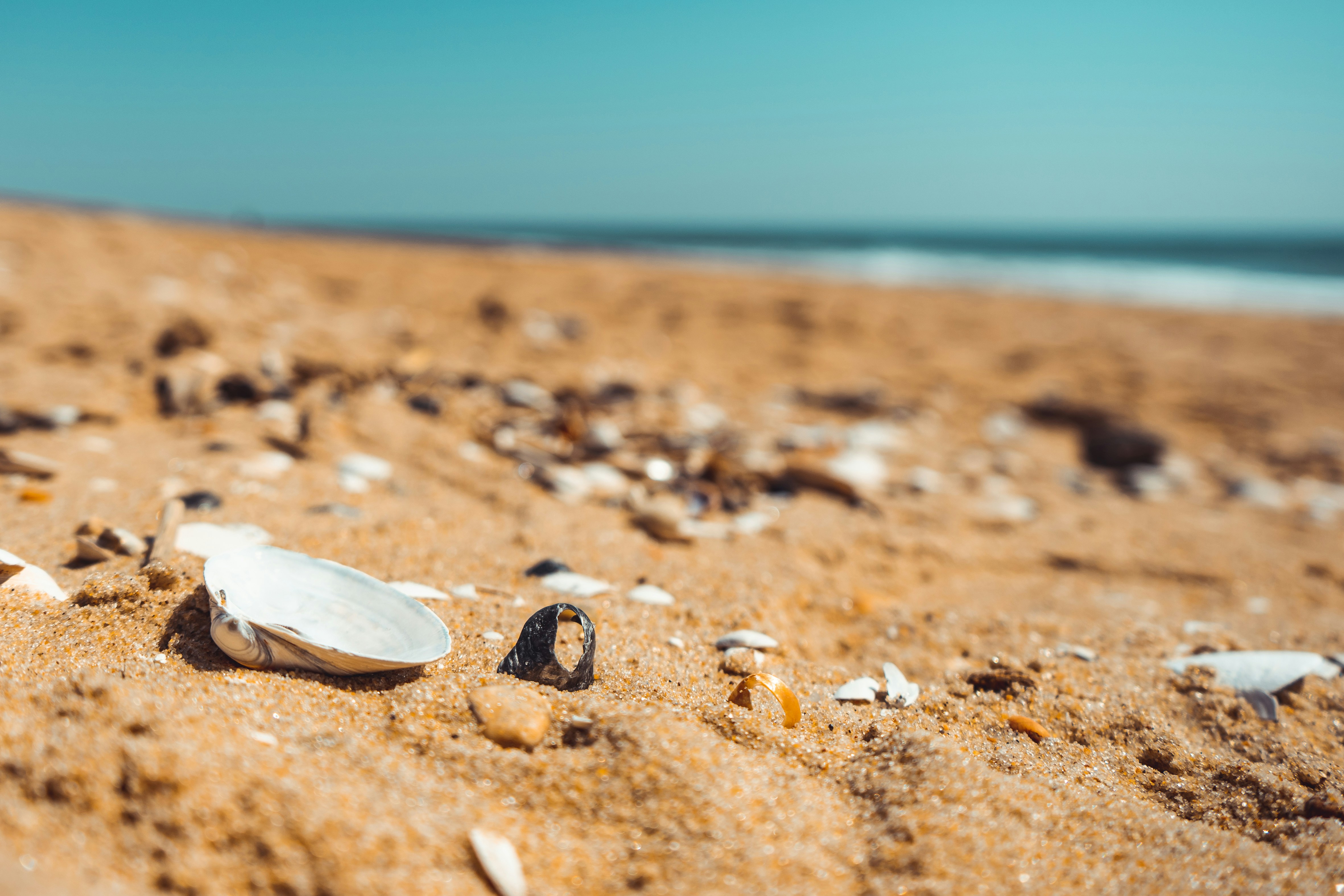 Photo by chrishardyphotography