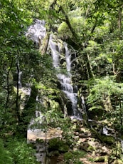 green trees and white waterfalls during daytime