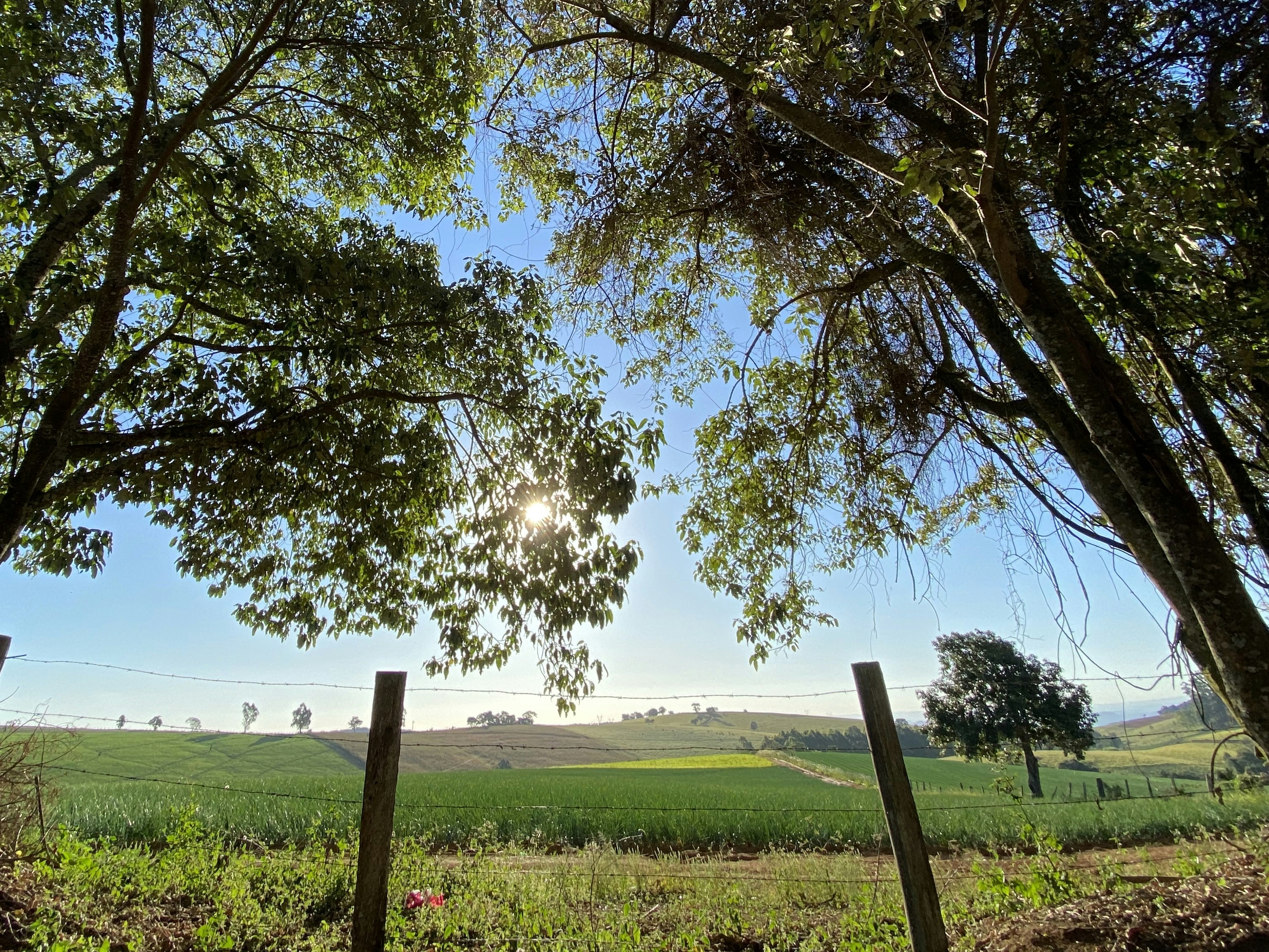 Photo by 7henrique1993