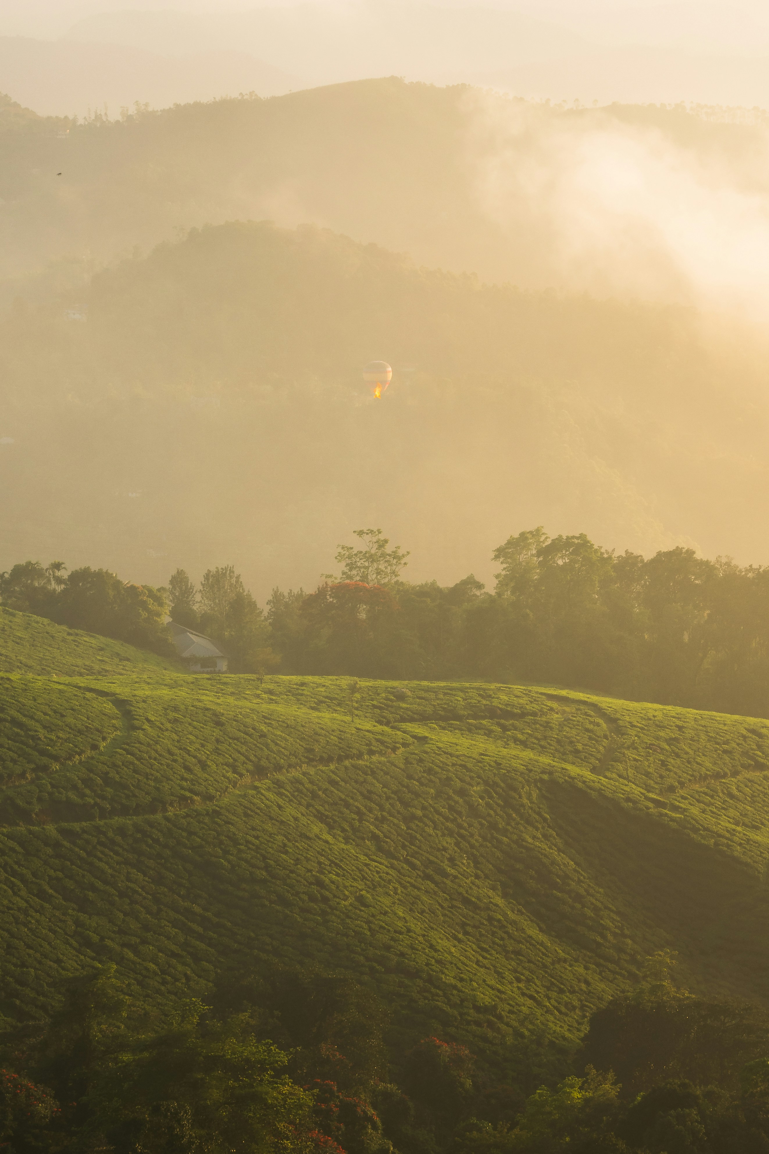Photo by aamirbilalm