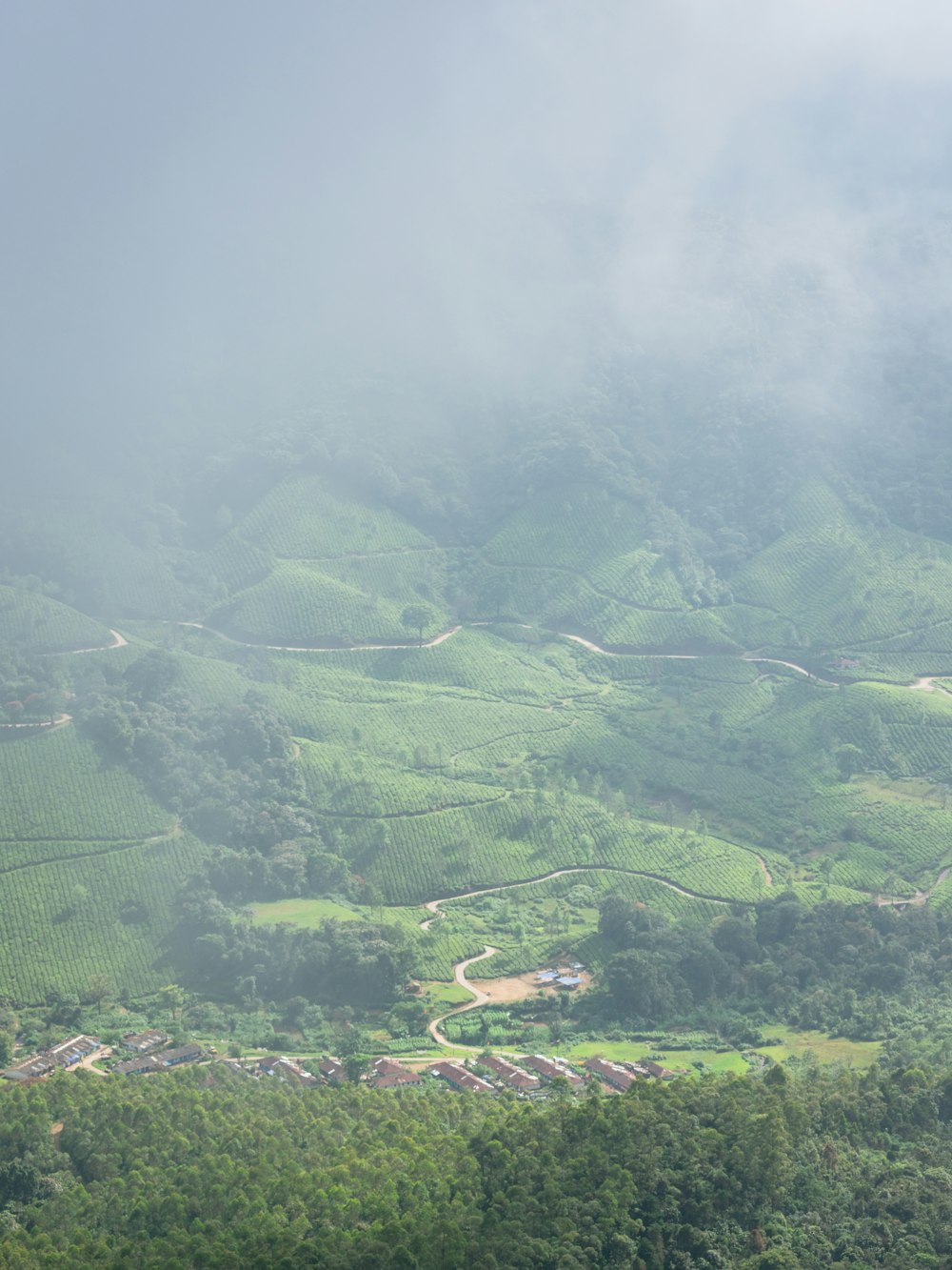 green trees on mountain under white sky during daytime