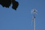 Close-up of a homemade wire antenna stretched between two trees in a backyard