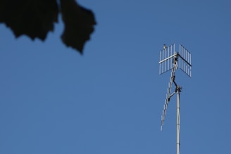A television antenna extends upwards against a clear blue sky, with a small bird perched near the top. In the foreground, there is the silhouette of tree leaves.