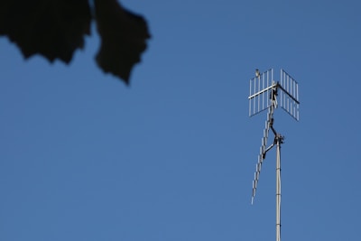 A television antenna extends upwards against a clear blue sky, with a small bird perched near the top. In the foreground, there is the silhouette of tree leaves.