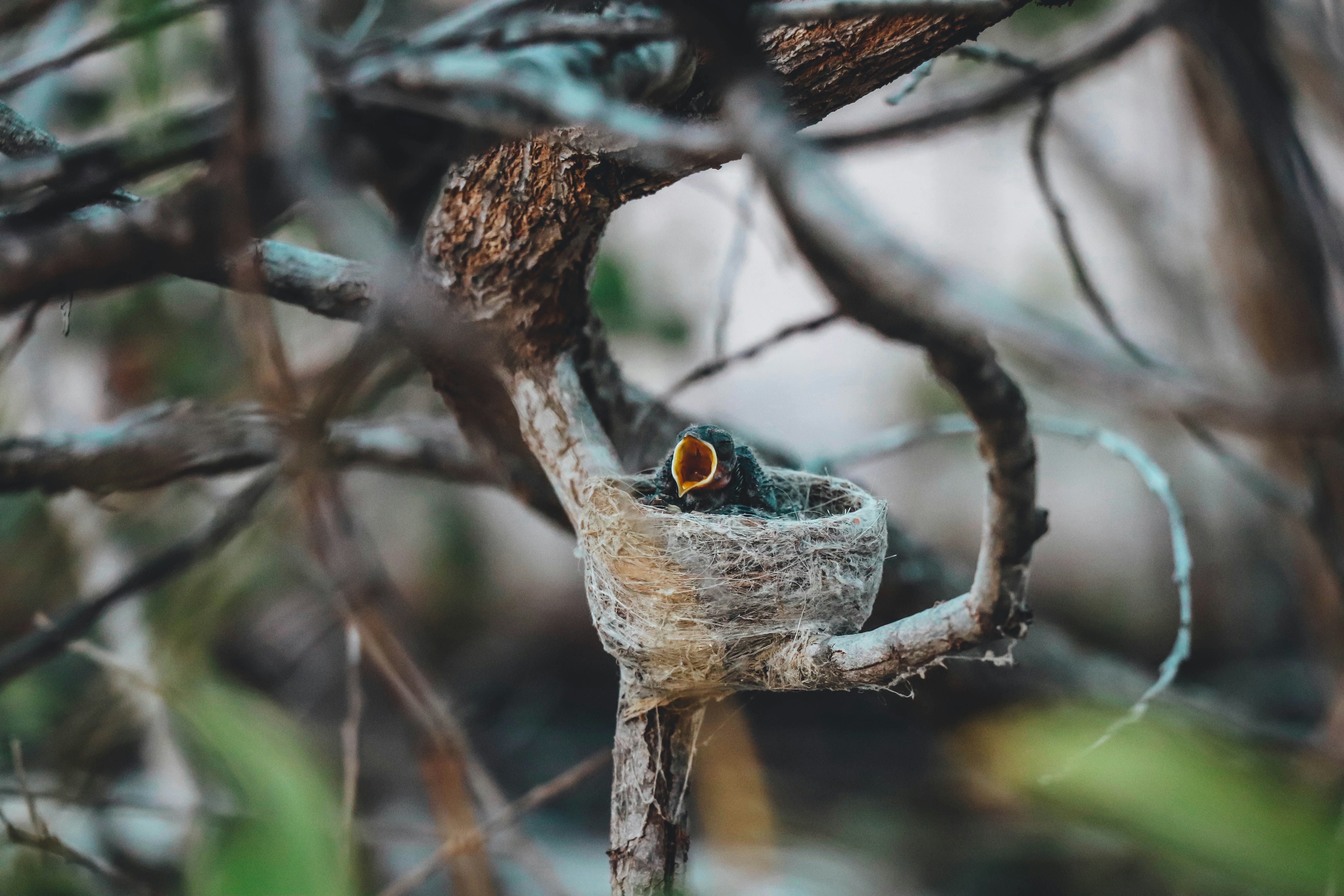 Photo by _jacob_spencer_