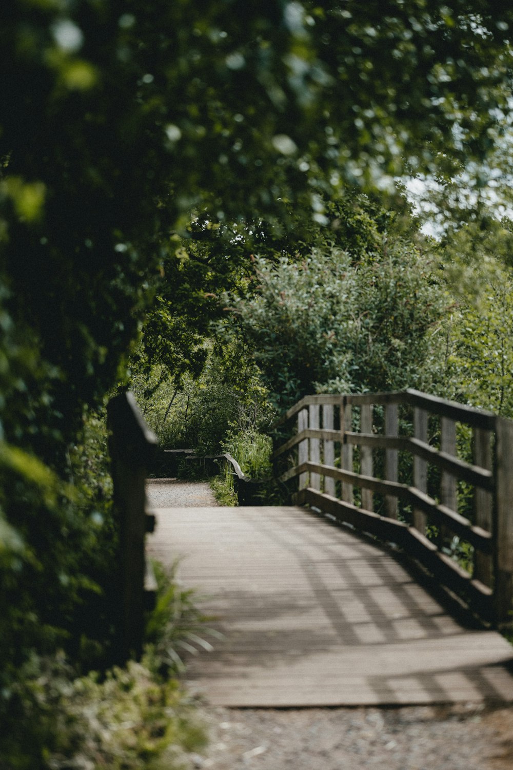 ponte di legno marrone in mezzo agli alberi verdi