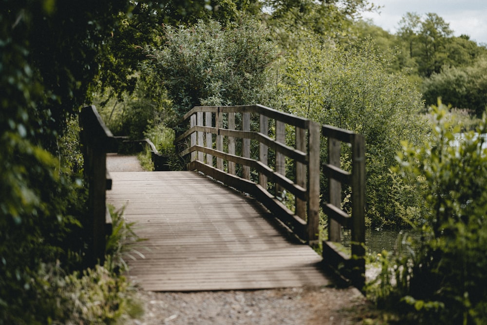 braune Holzbrücke tagsüber von grünen Bäumen umgeben