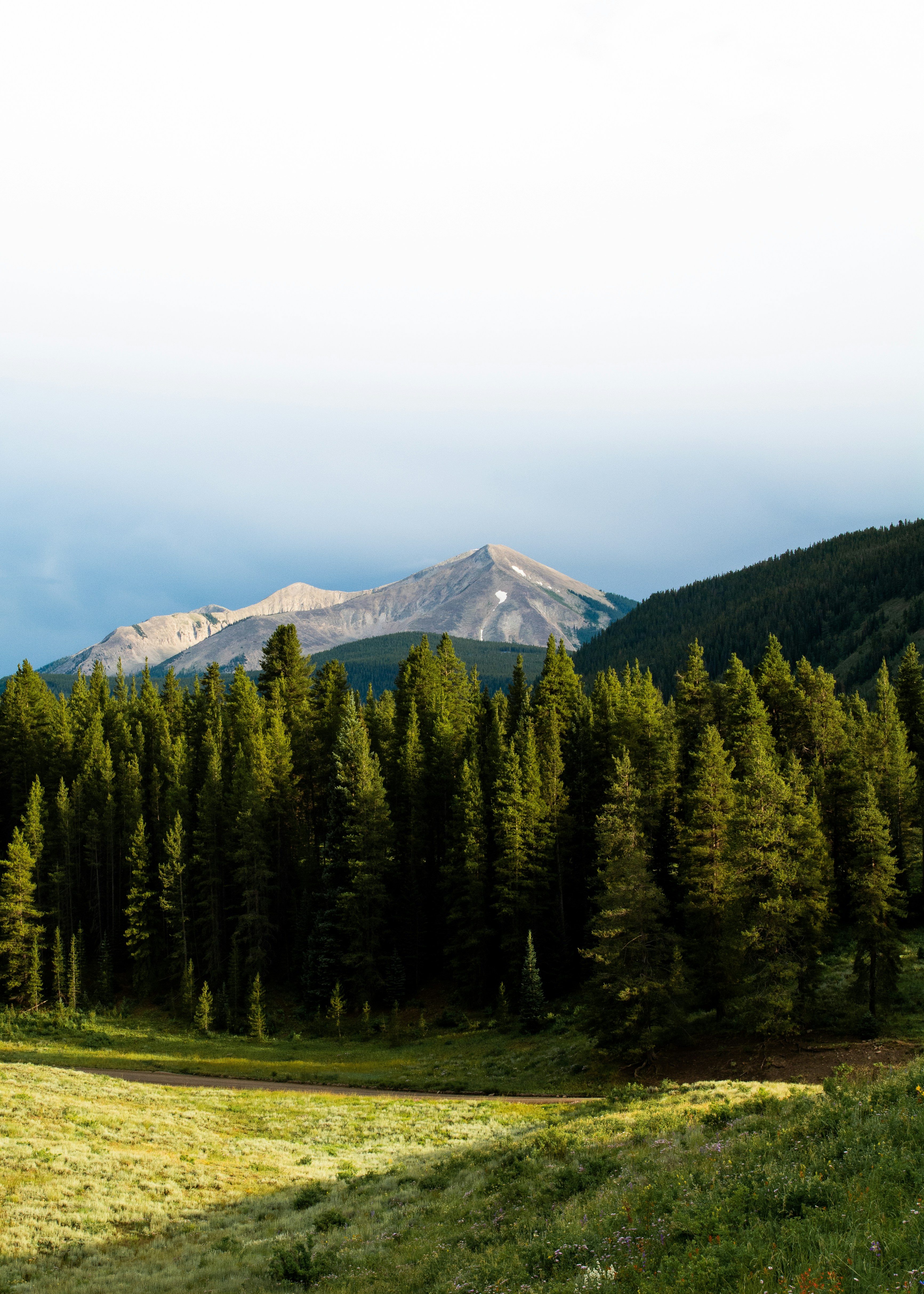green pine trees near mountain during daytime
