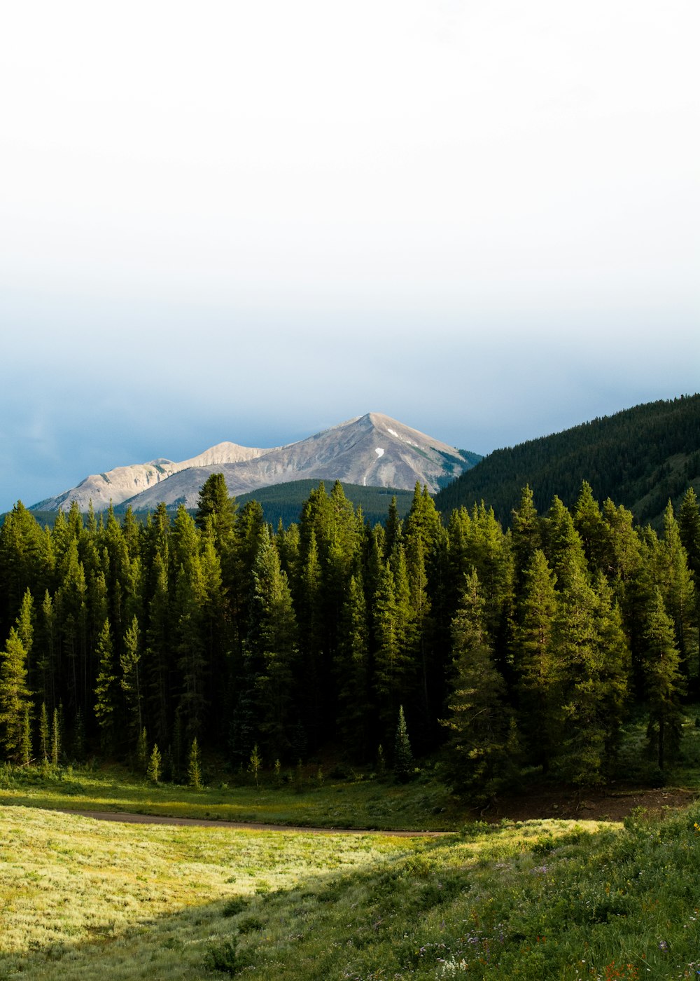 green pine trees near mountain during daytime