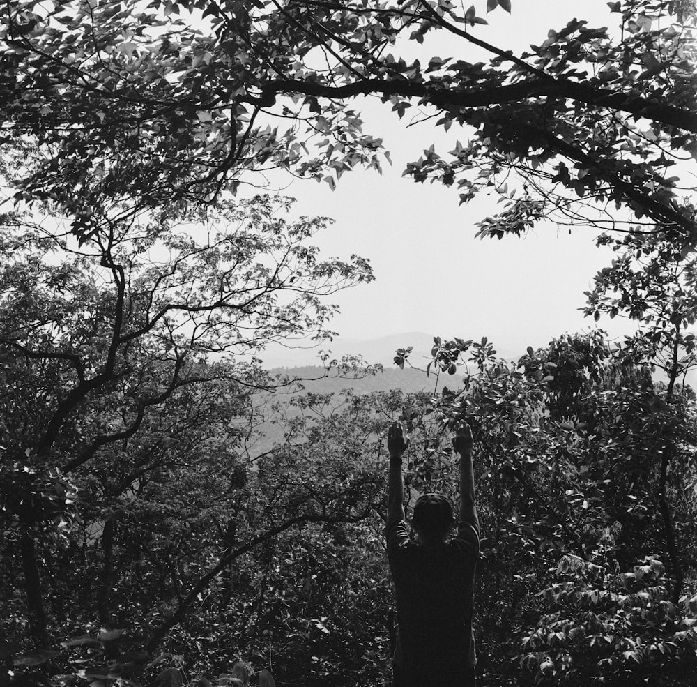 grayscale photo of trees and plants