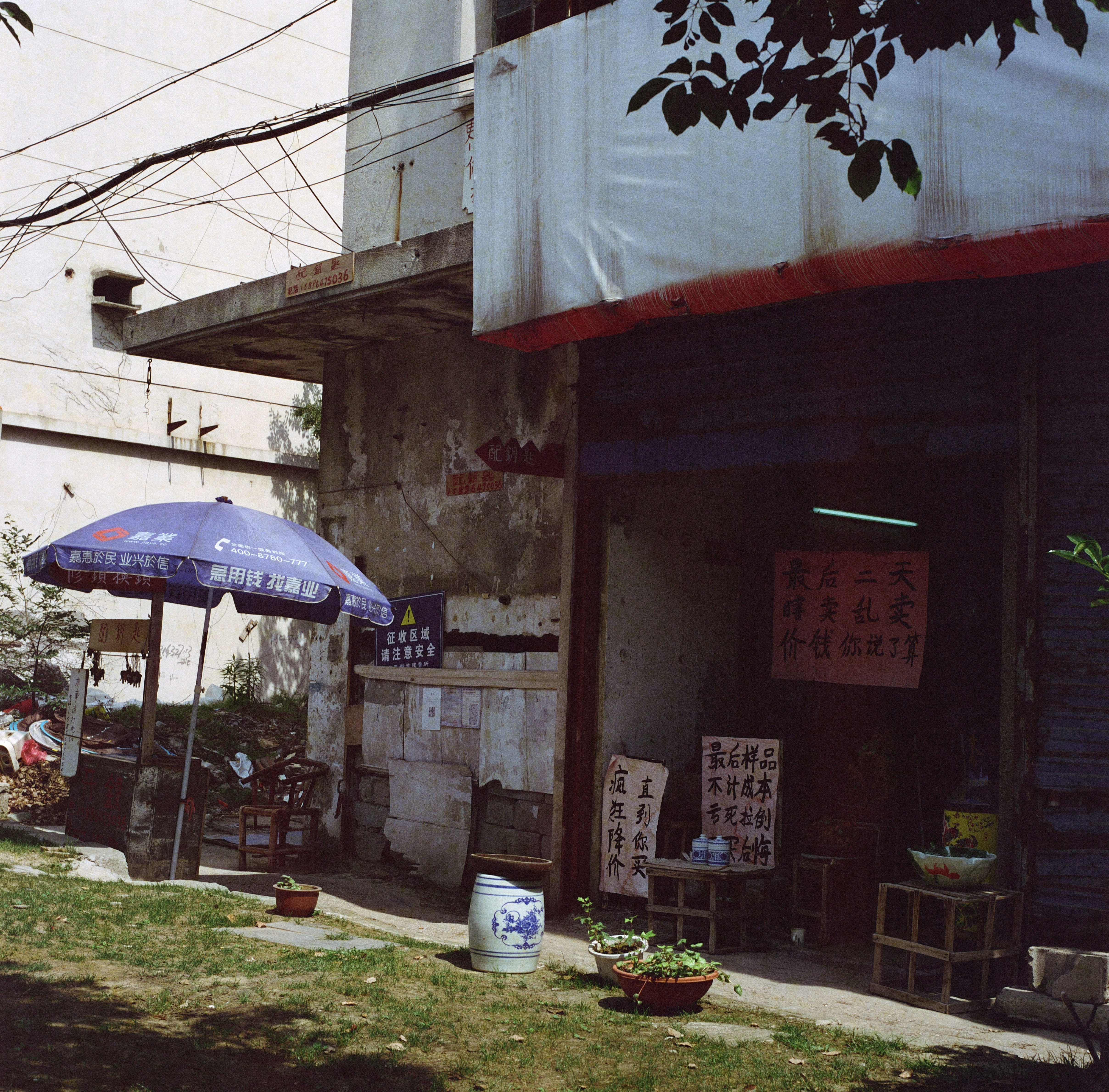 Photo by kennyzhang29