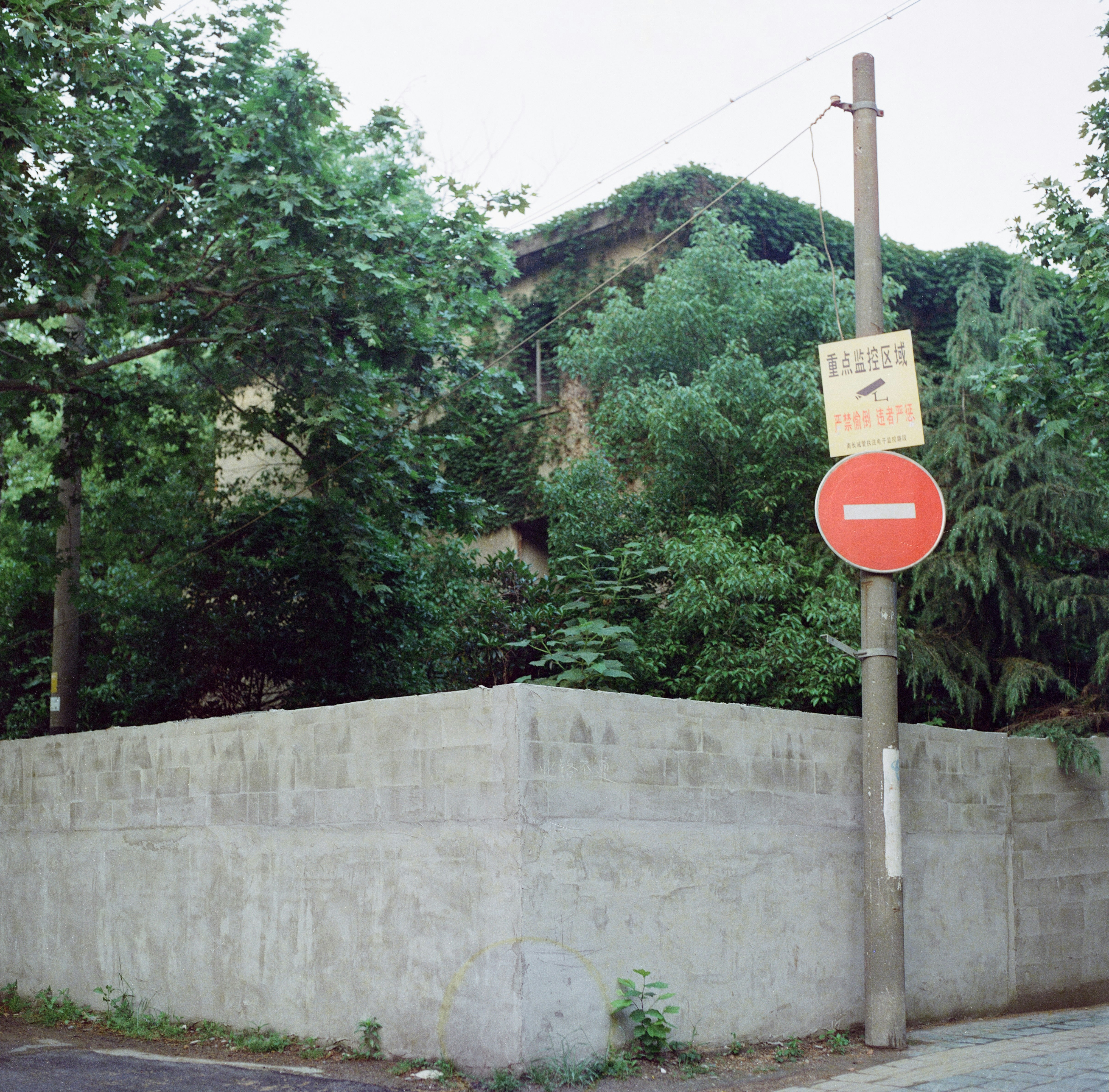 Photo by kennyzhang29