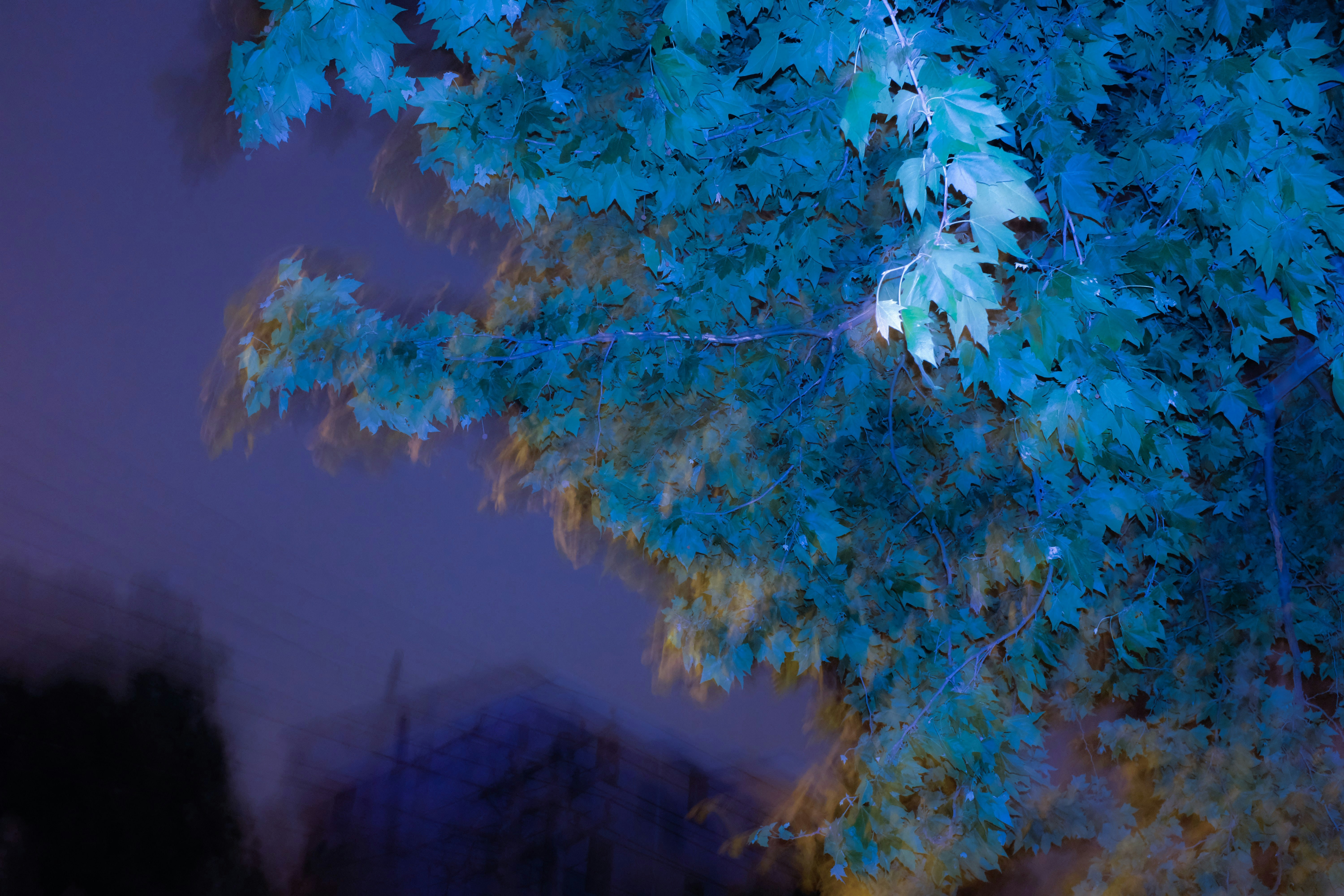 Photo by kennyzhang29