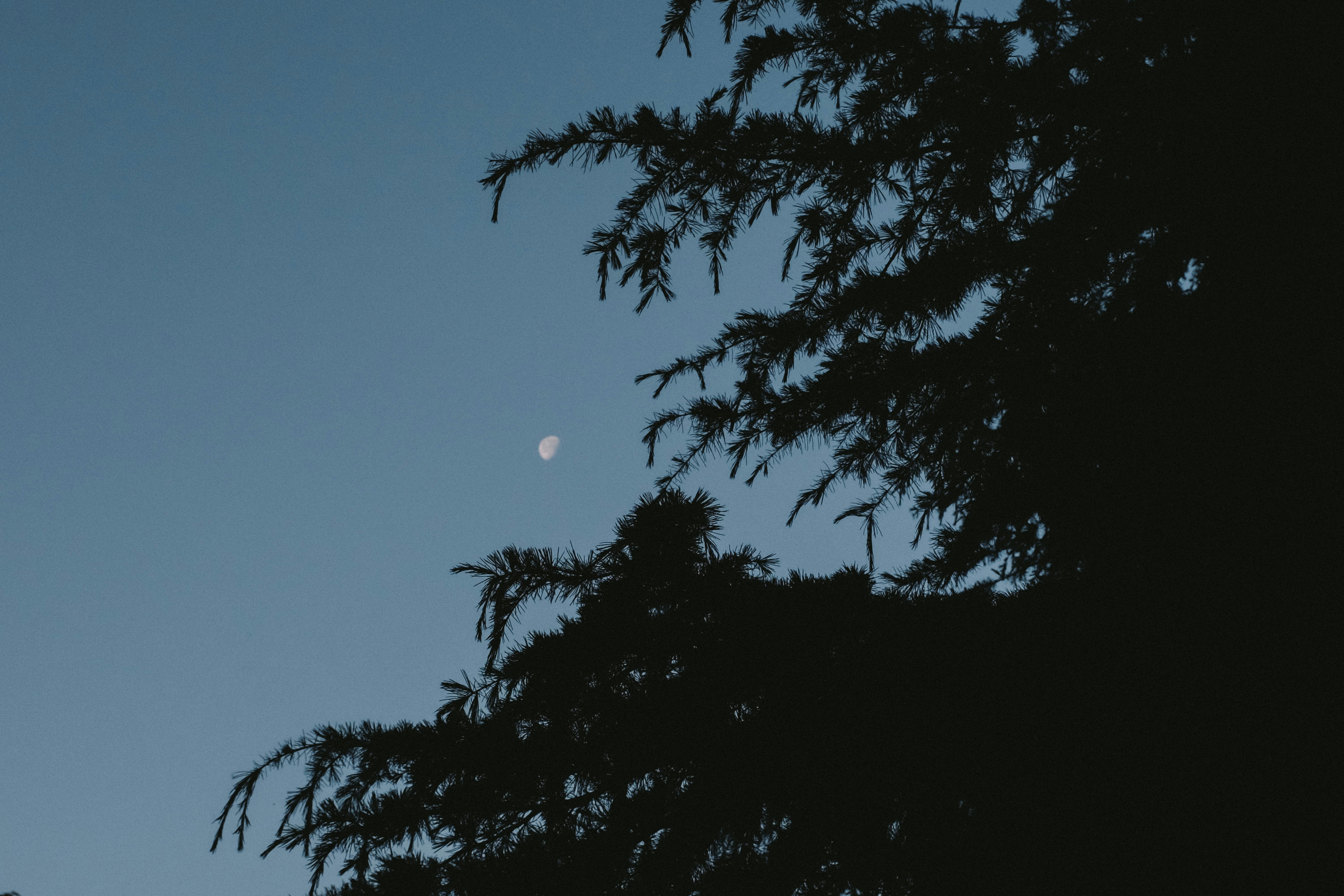 Photo by kennyzhang29