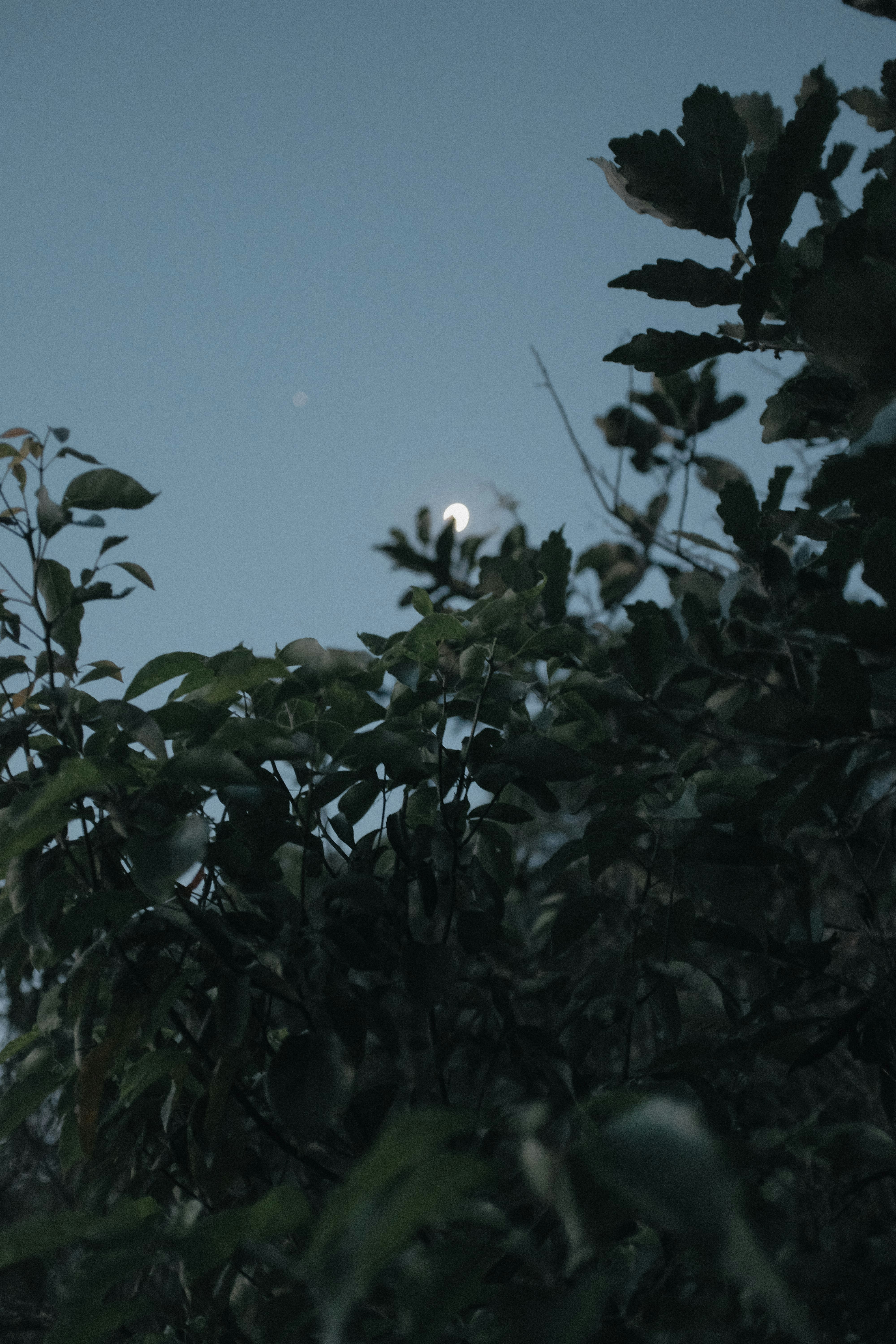 Photo by kennyzhang29