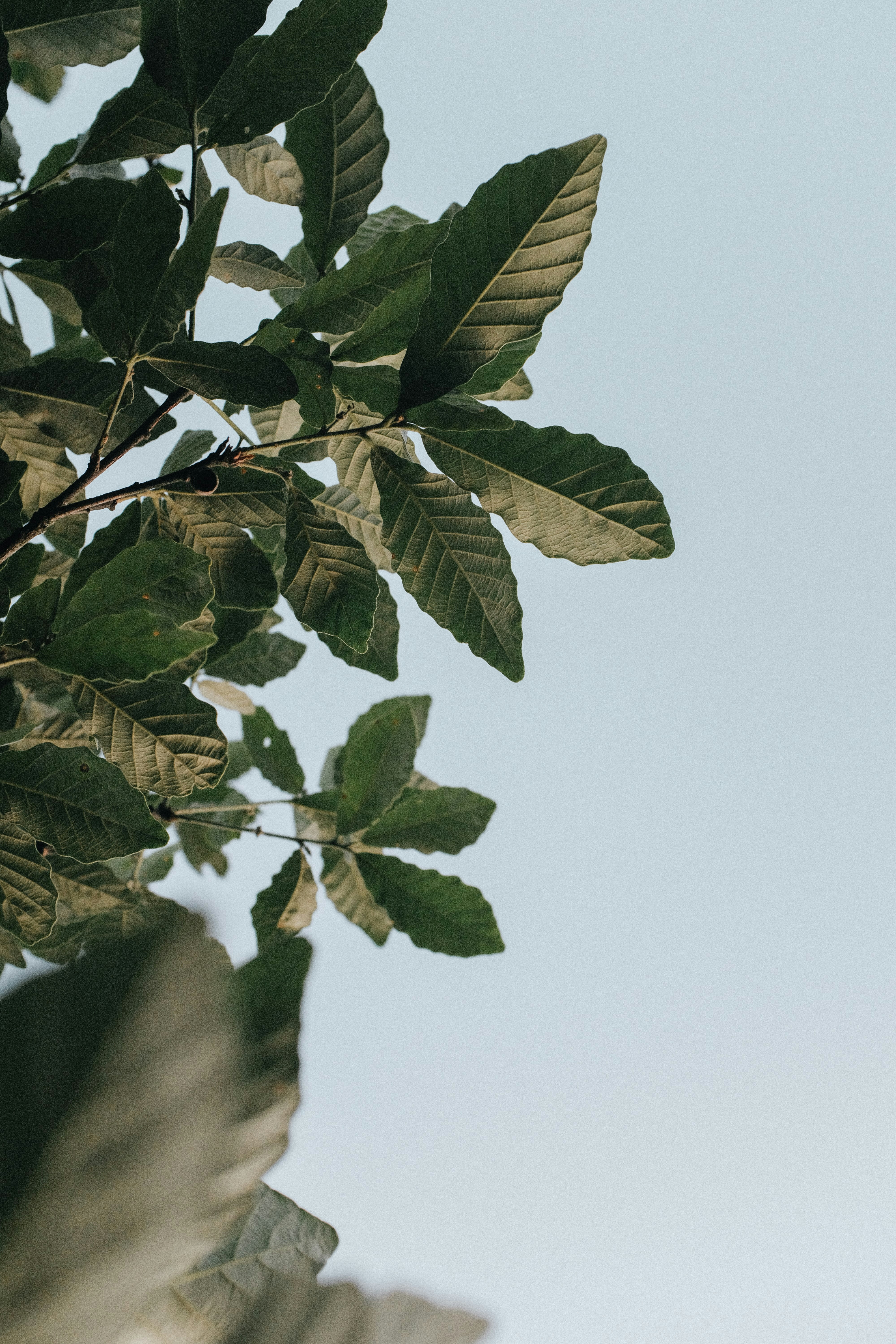 Photo by kennyzhang29