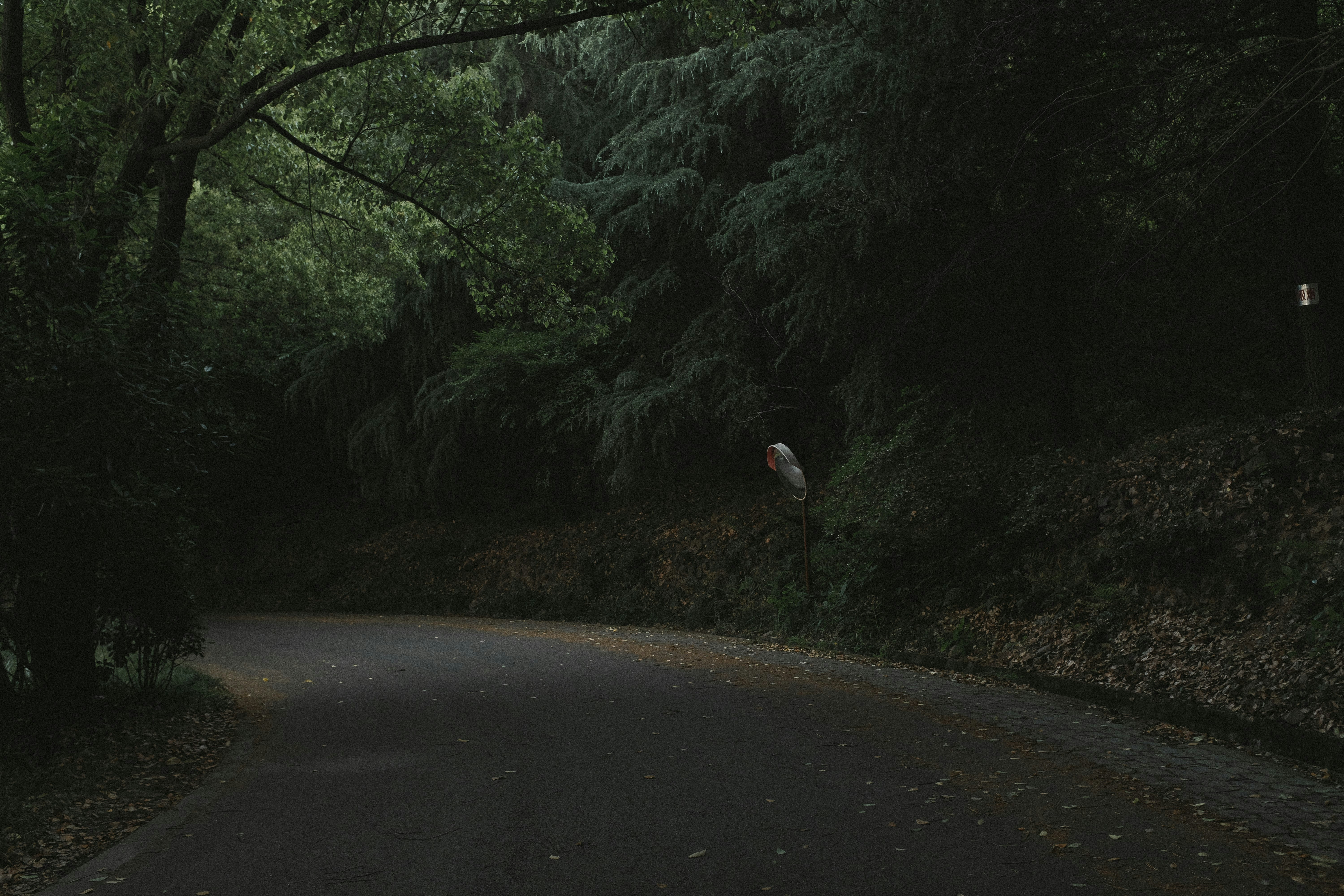 Photo by kennyzhang29