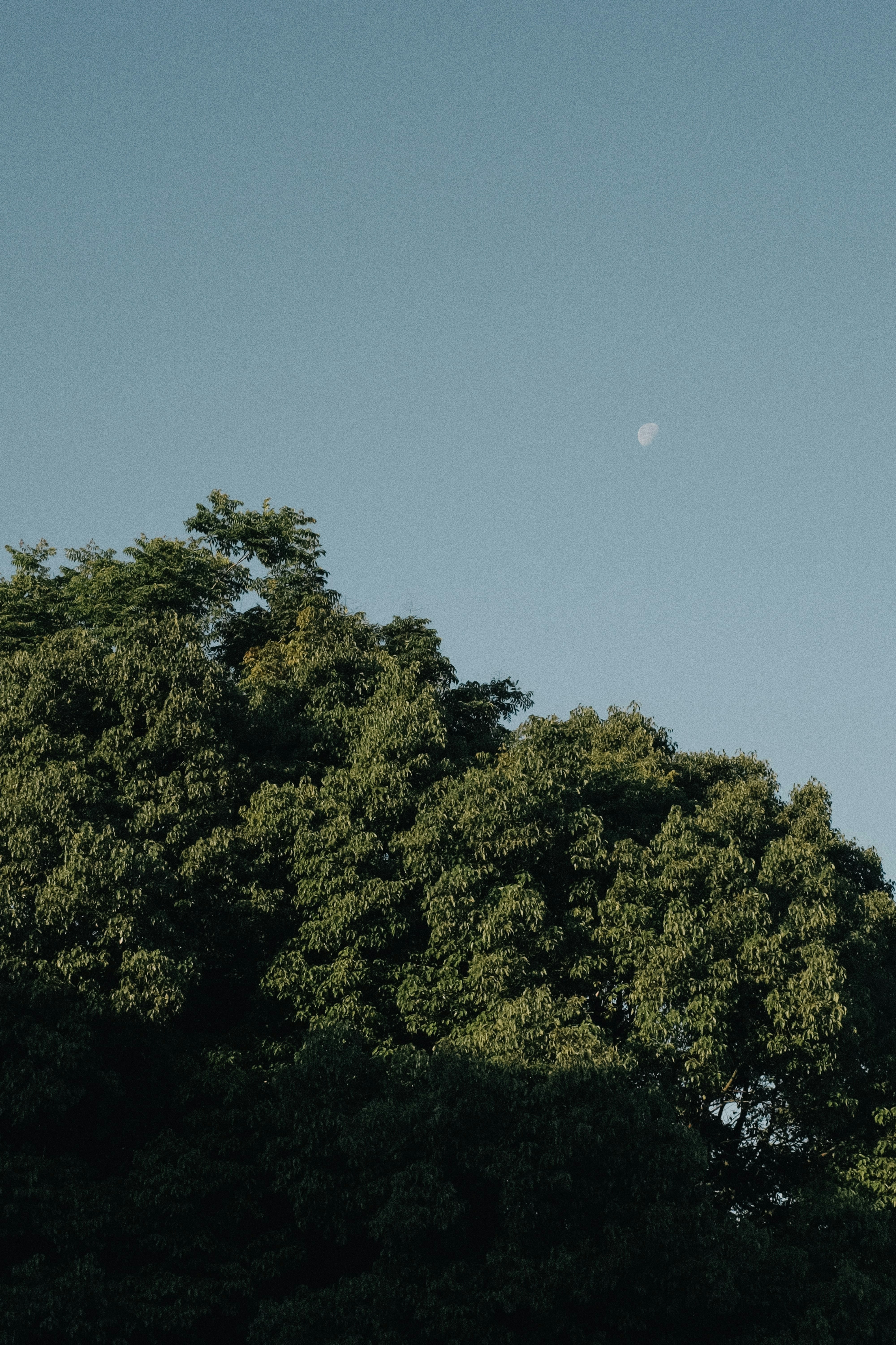 Photo by kennyzhang29