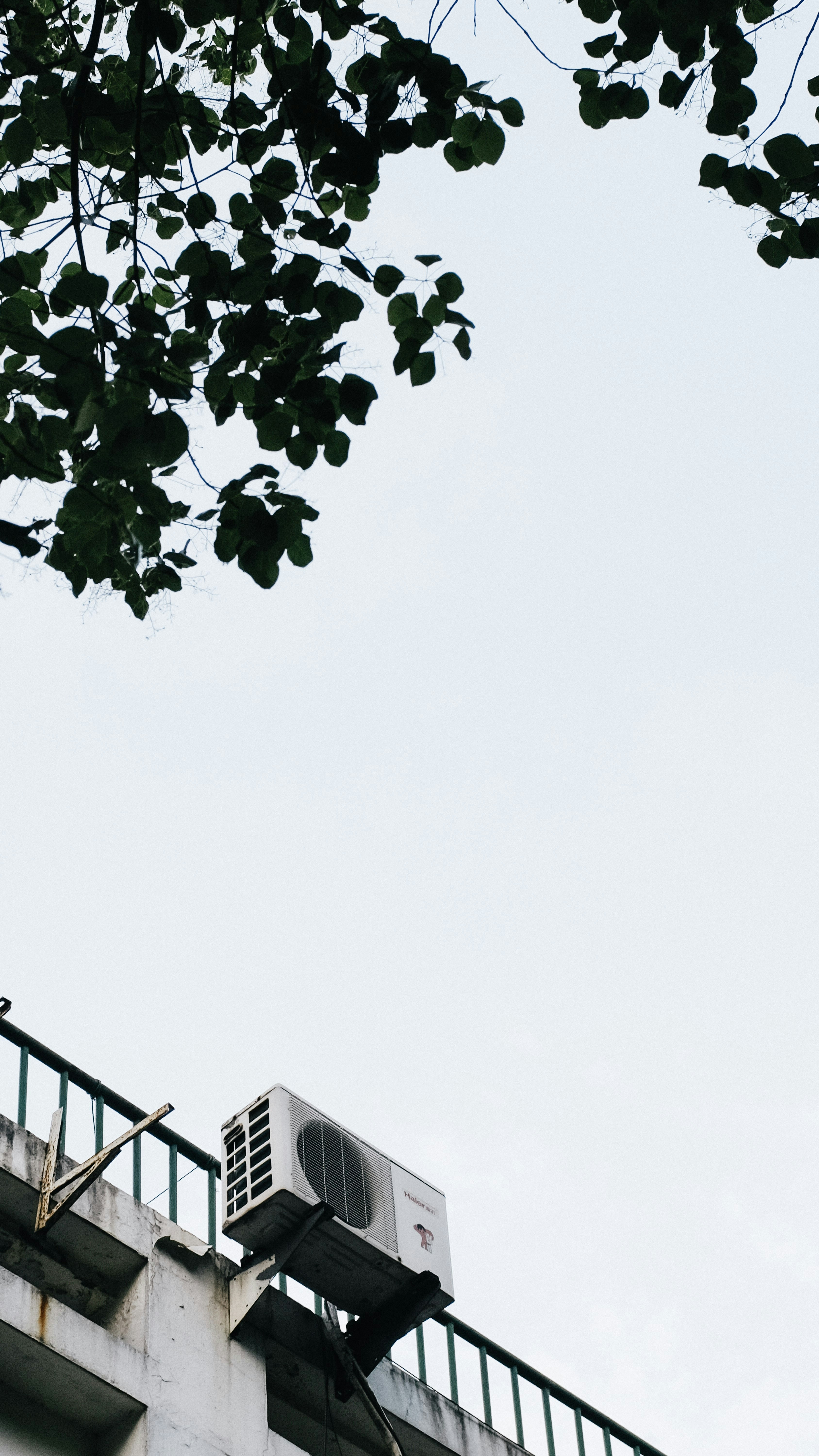 Photo by kennyzhang29