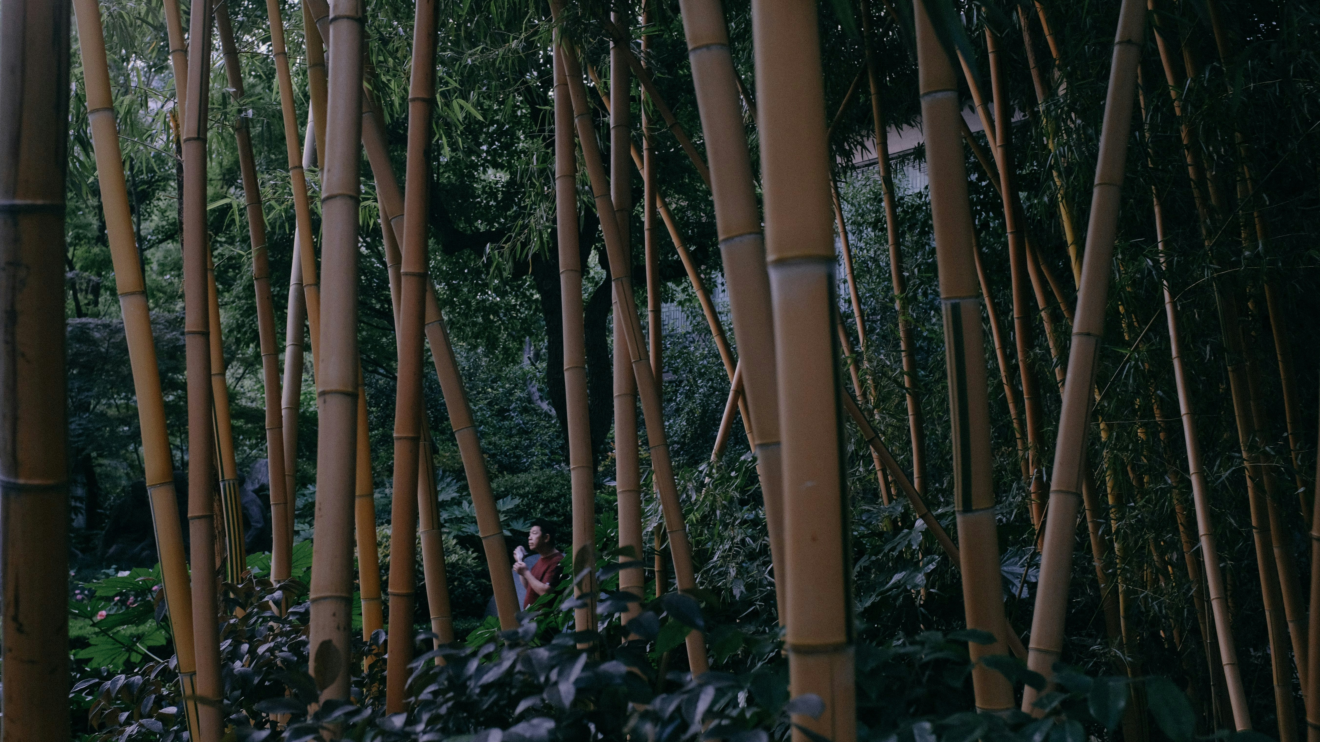 Photo by kennyzhang29