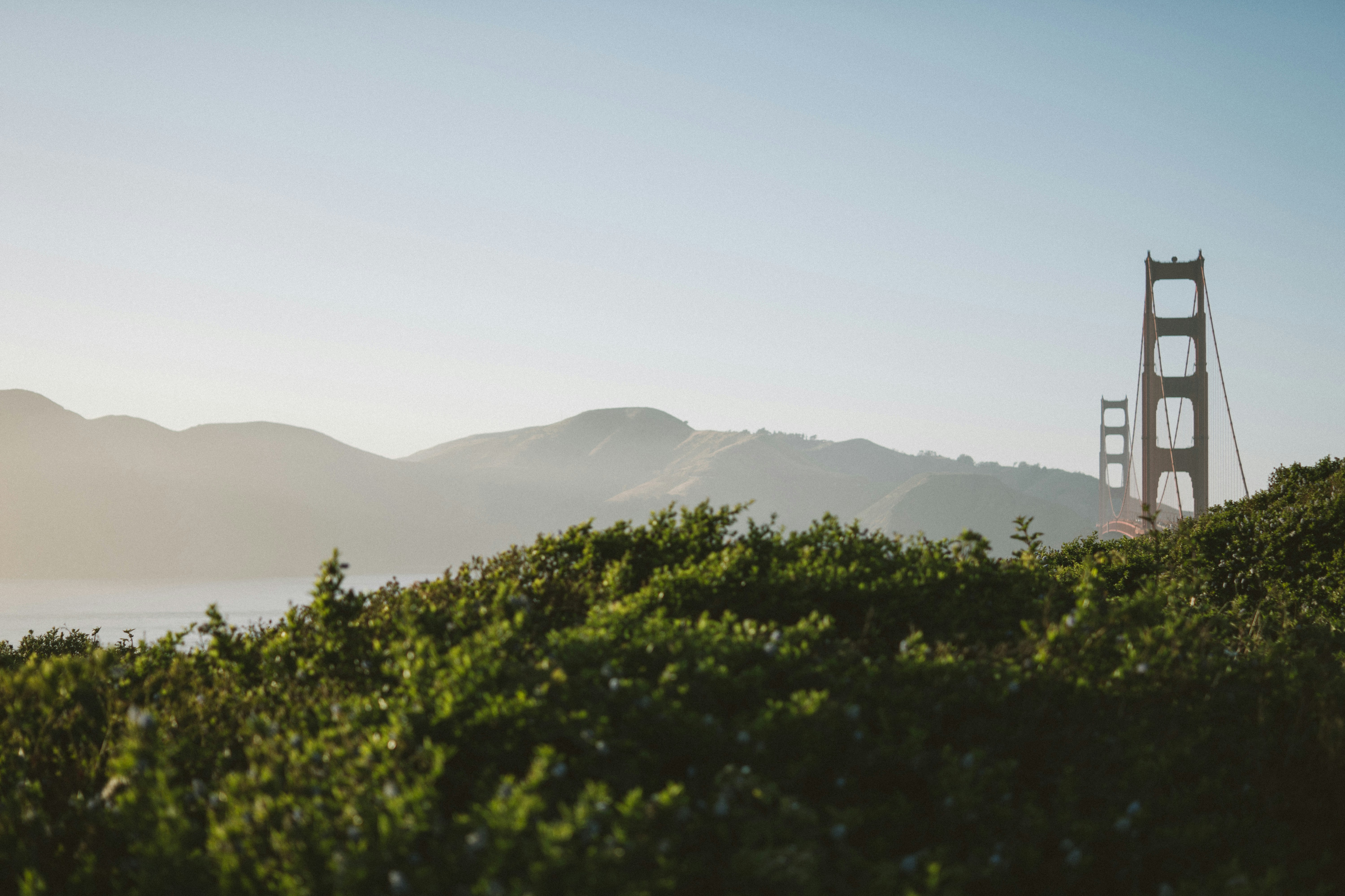 Cover Image for Calendar