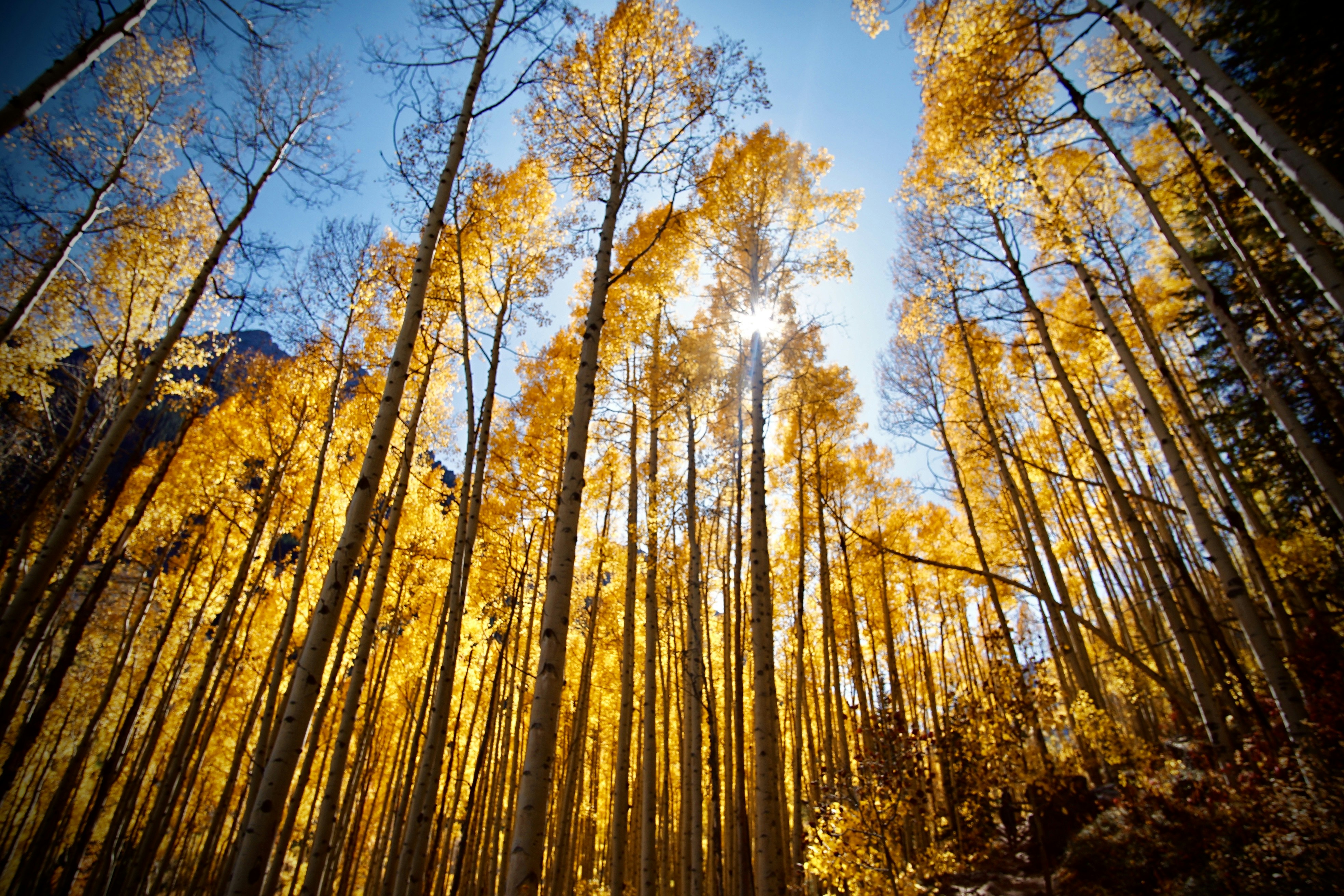 Photo by itworkonline