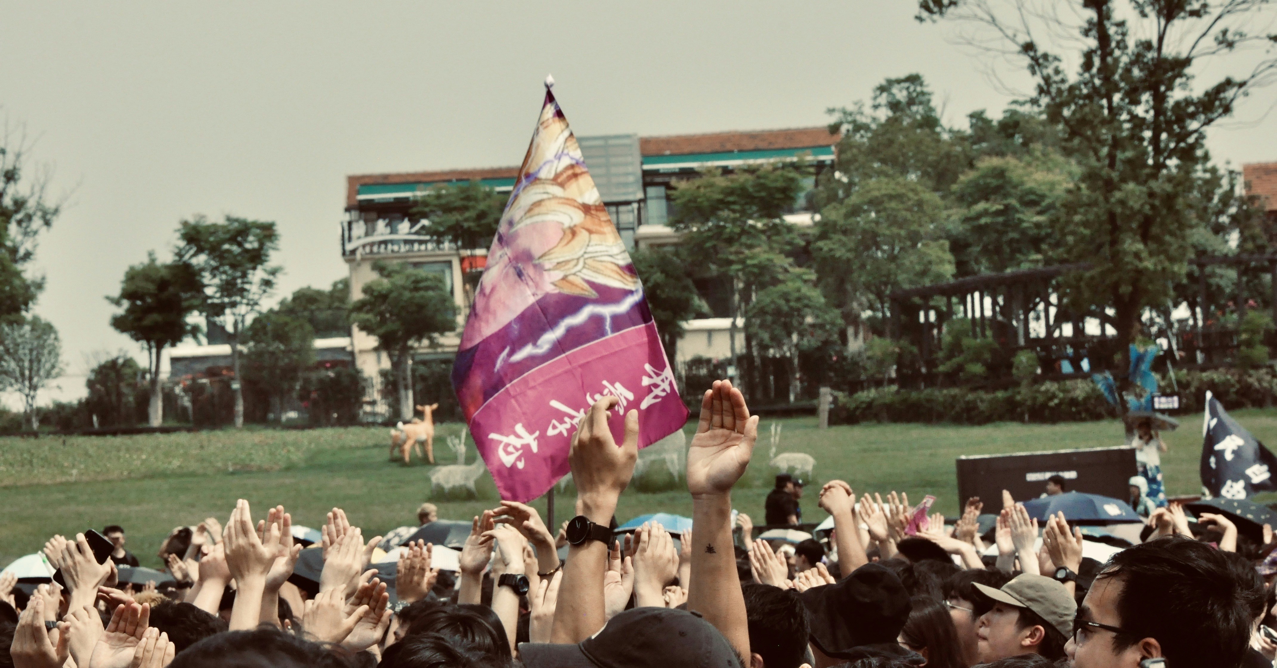 People celebrating success