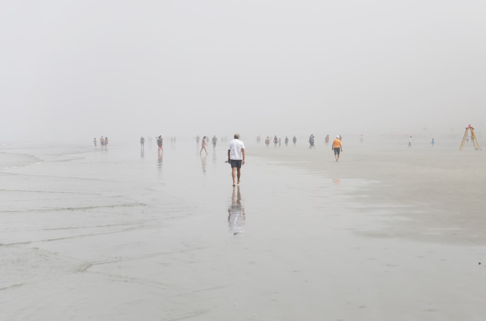 people walking on beach during daytime