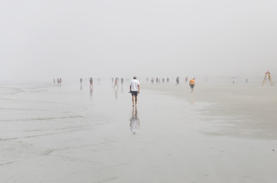 people walking on beach during daytime in Santos Brasil